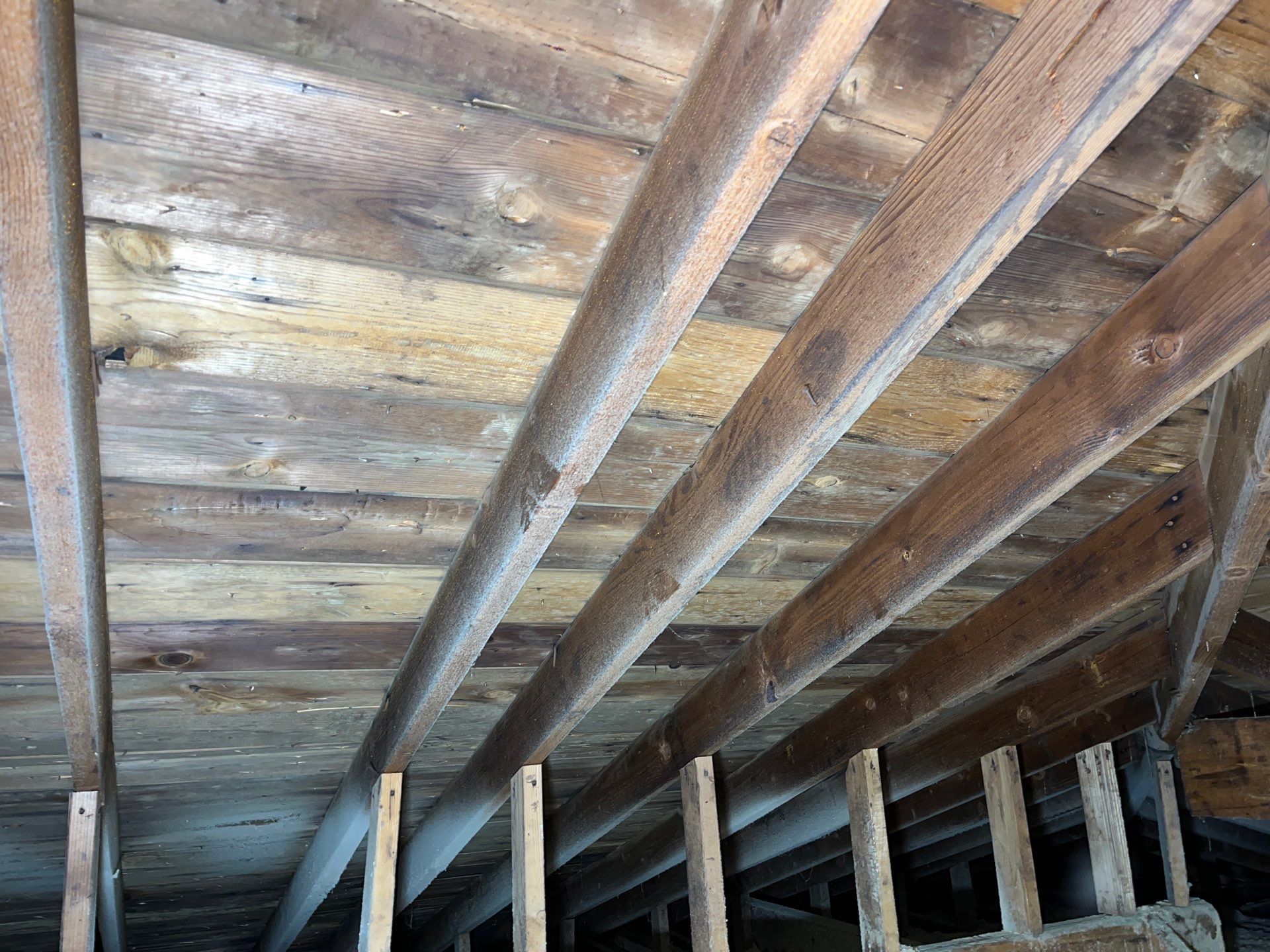 Addressing Attic Moisture, Mold, and Energy Loss in Dillonvale, OH 43917 by Home Environment Solutions