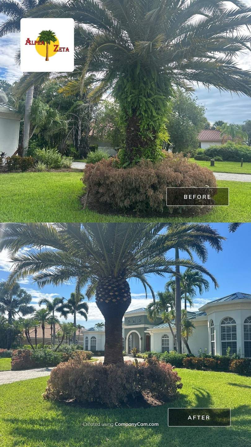 Palm City Revival at Pipers Landing by Alpha Zeta Enterprises Inc