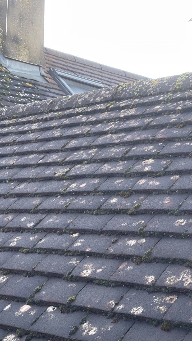 Roof Clean - Biocide Treatment using Mosmatic FSC and Biocide by Ges Exterior Cleaning ltd