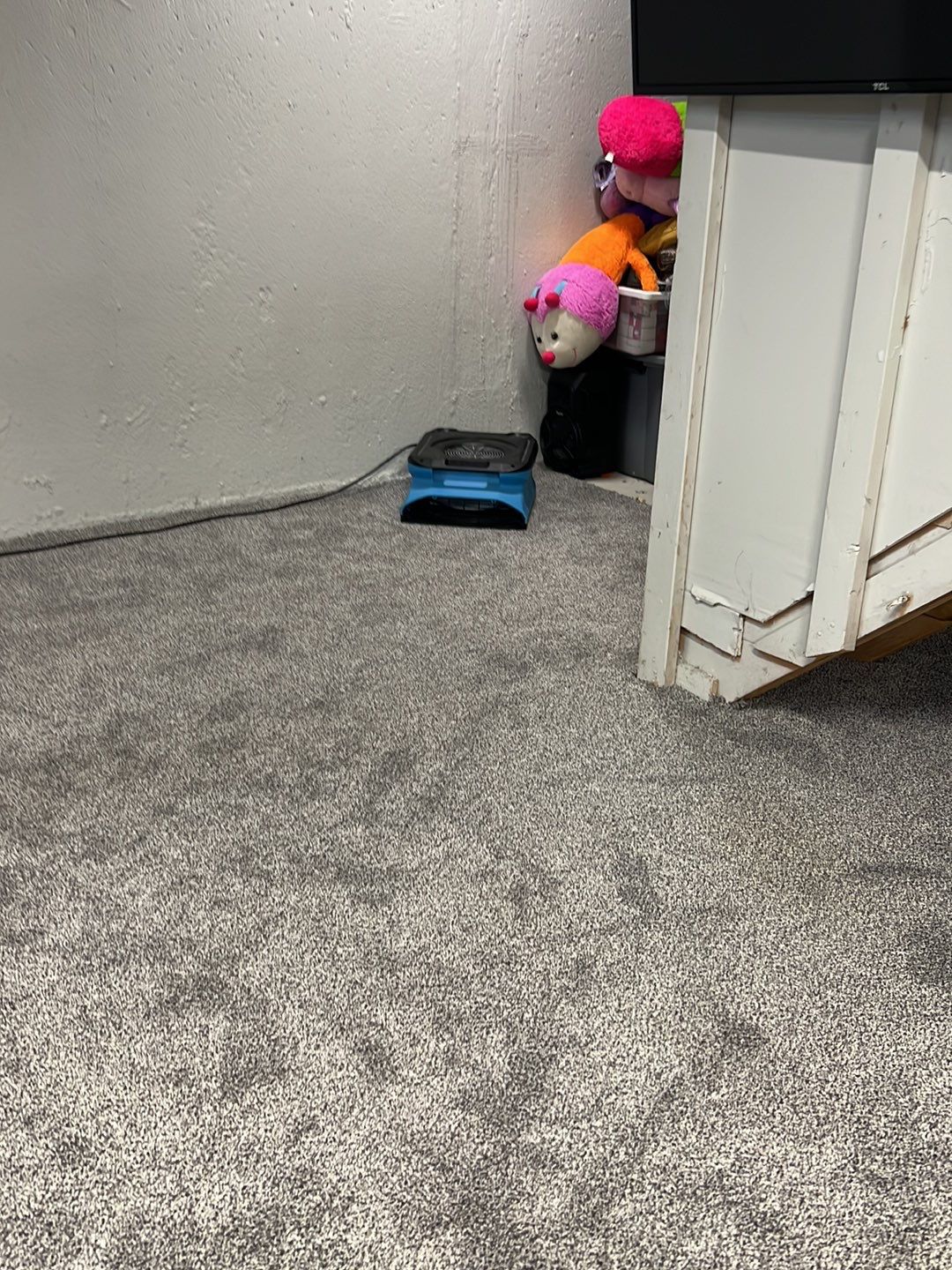 Project in Commerce Charter Twp by EzDry Water Mitigation & Property Restoration