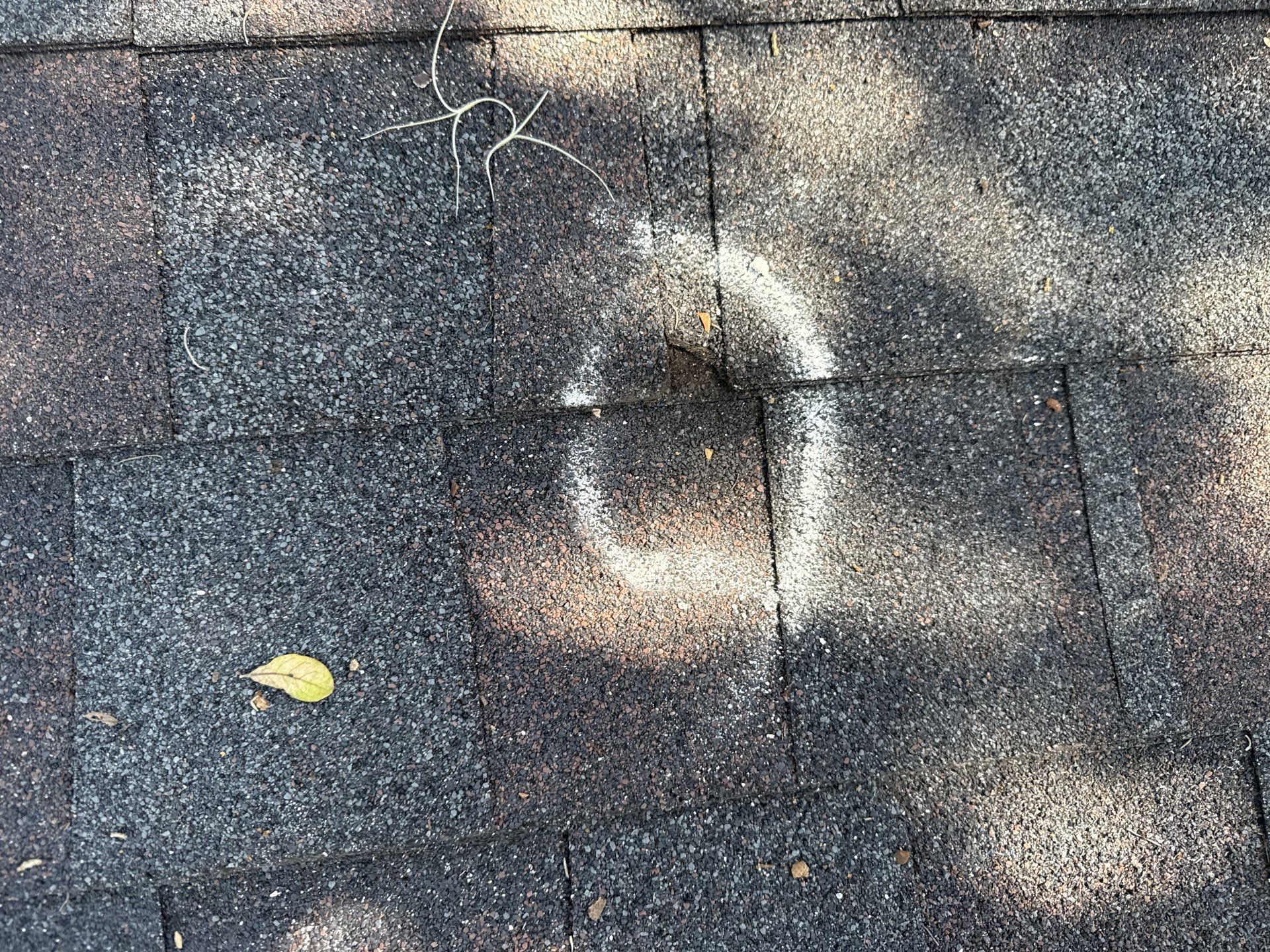 Project in Lakeland by You Restorations LLC DBA YOU-Home