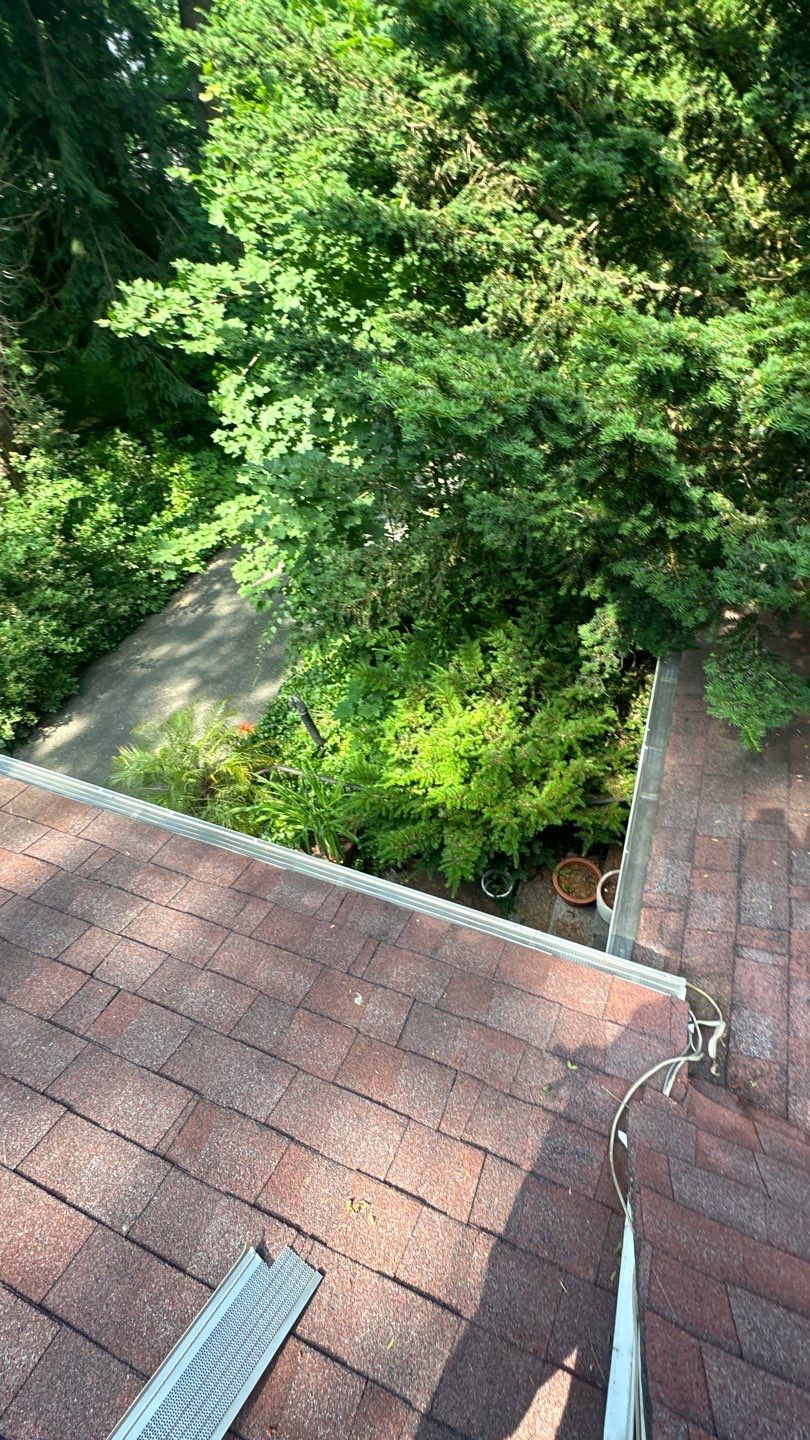 Very overdue gutter cleaning and screening by Above All Gutters 