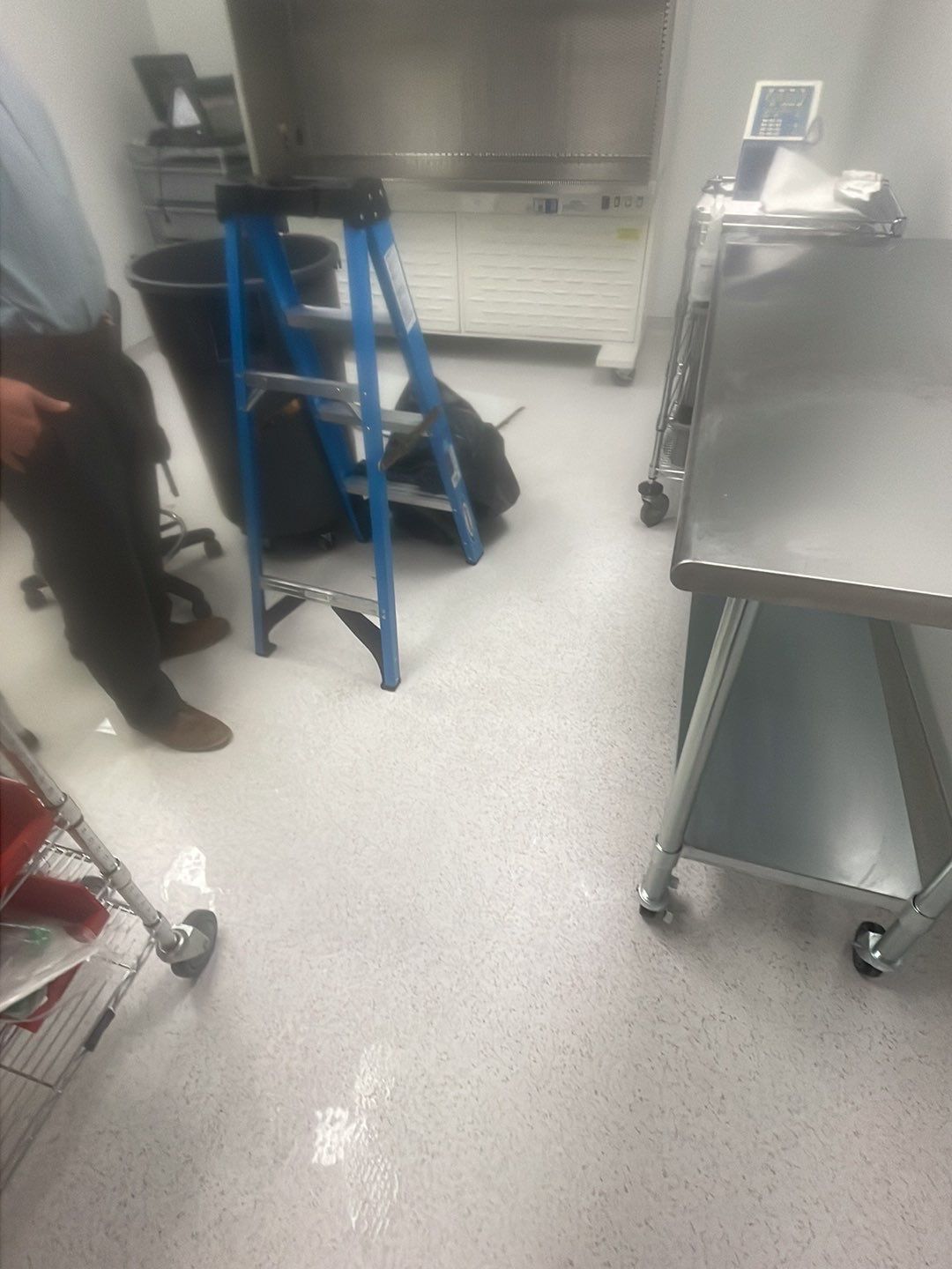 Project in Novi by EzDry Water Mitigation & Property Restoration