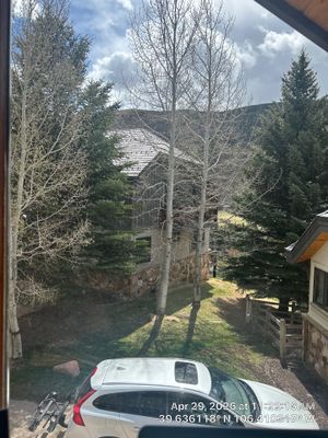 Residential Aspen Tree Removal and Roof System Maintenance in Vail