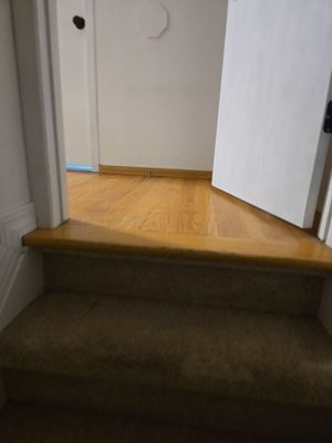 Project in Westminster