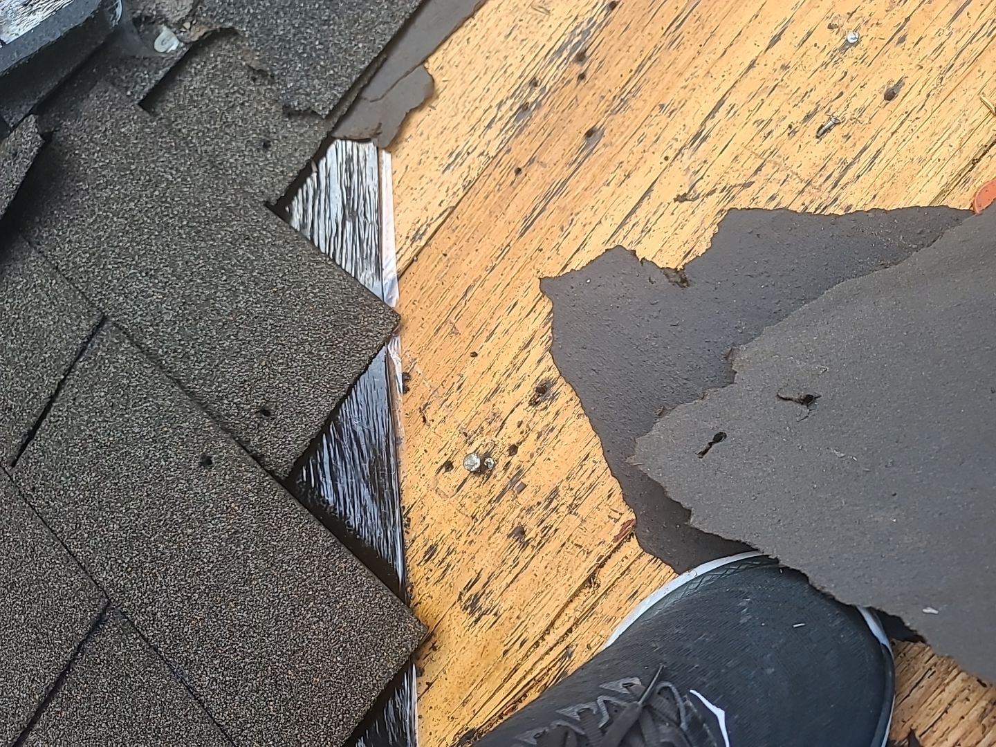 Full Asphalt Shingle Roof Replacement and Seamless Gutter Installation in Fredericksburg by Caliber Restoration LLC