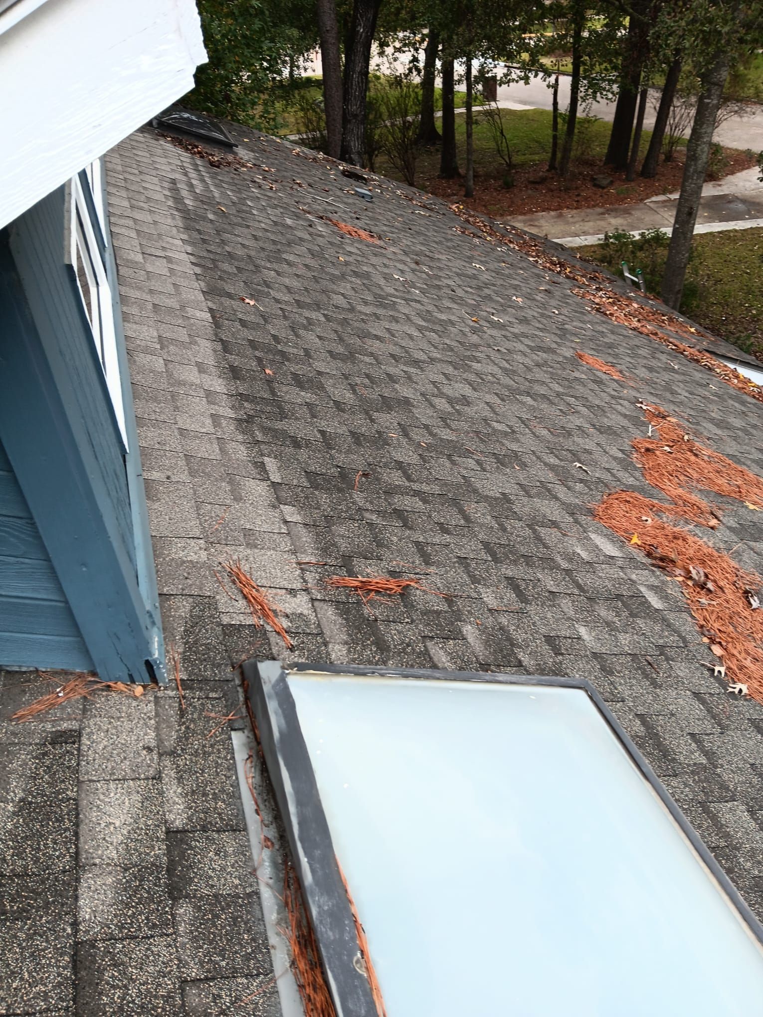 Roof Repair Spring by Roof Repair Company