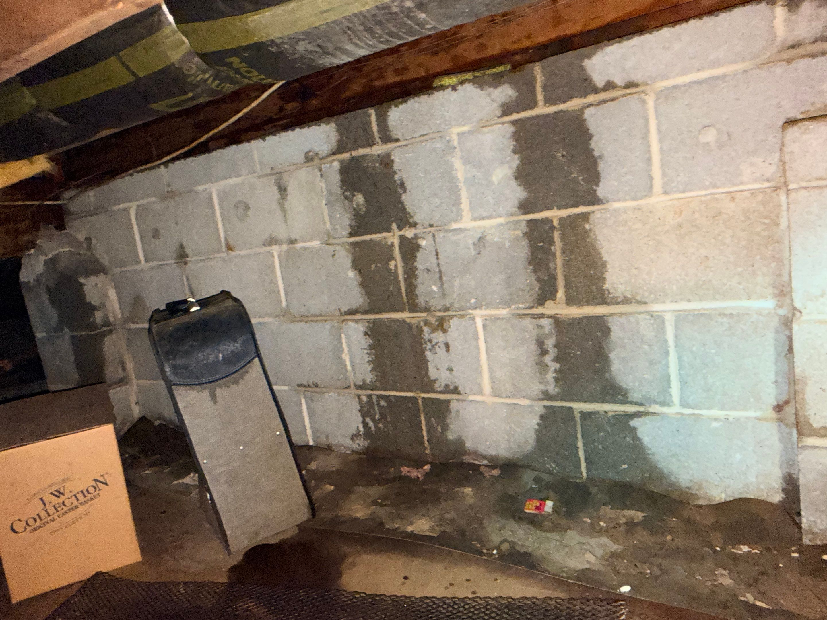 Emergency Water Mitigation & Structural Cavity Drying in Wilmington by Right On Time Restoration