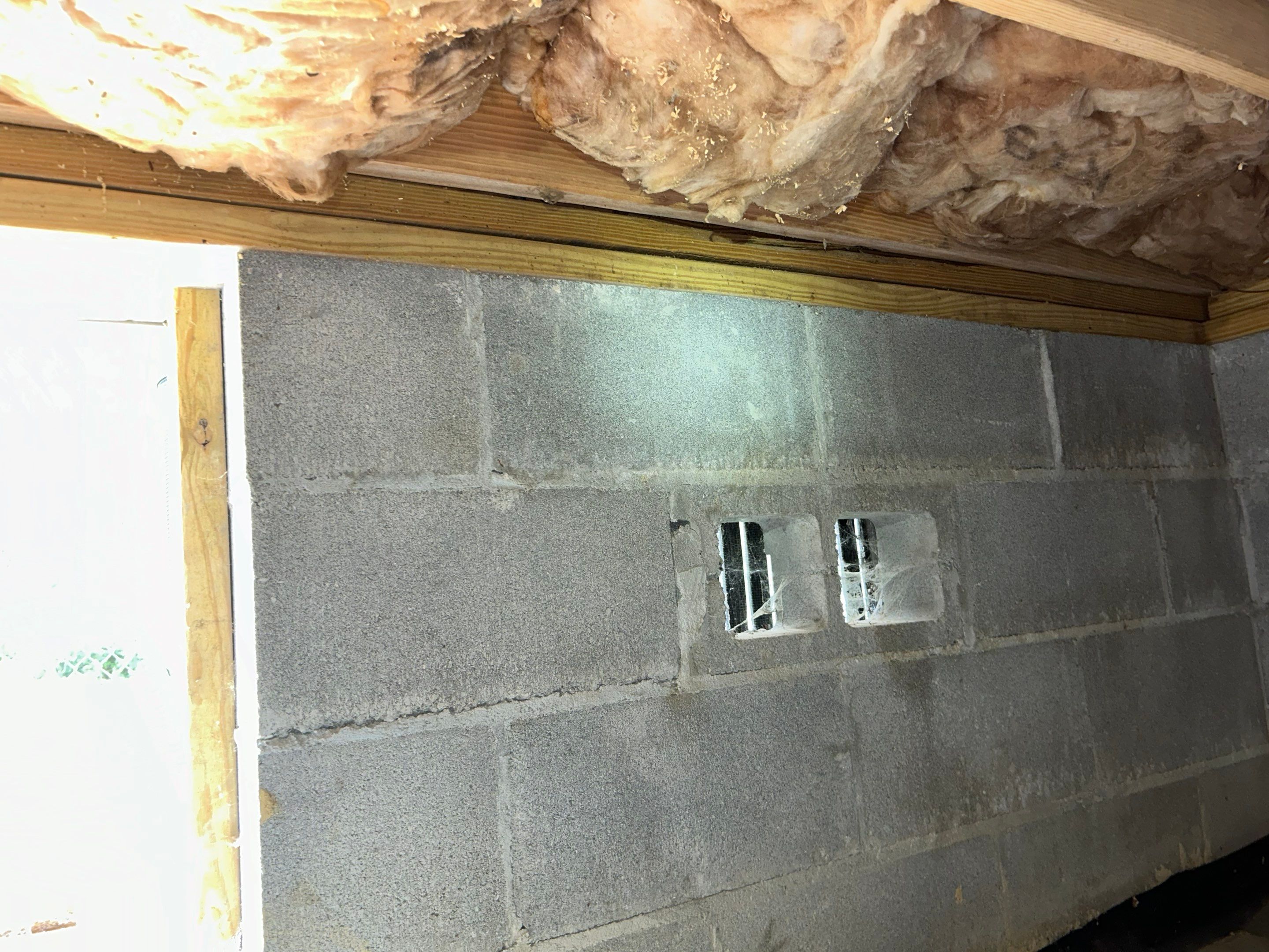 Premium Encapsulation with 20Mil, Borafoam insulation and Light System. by Impact Crawlspace
