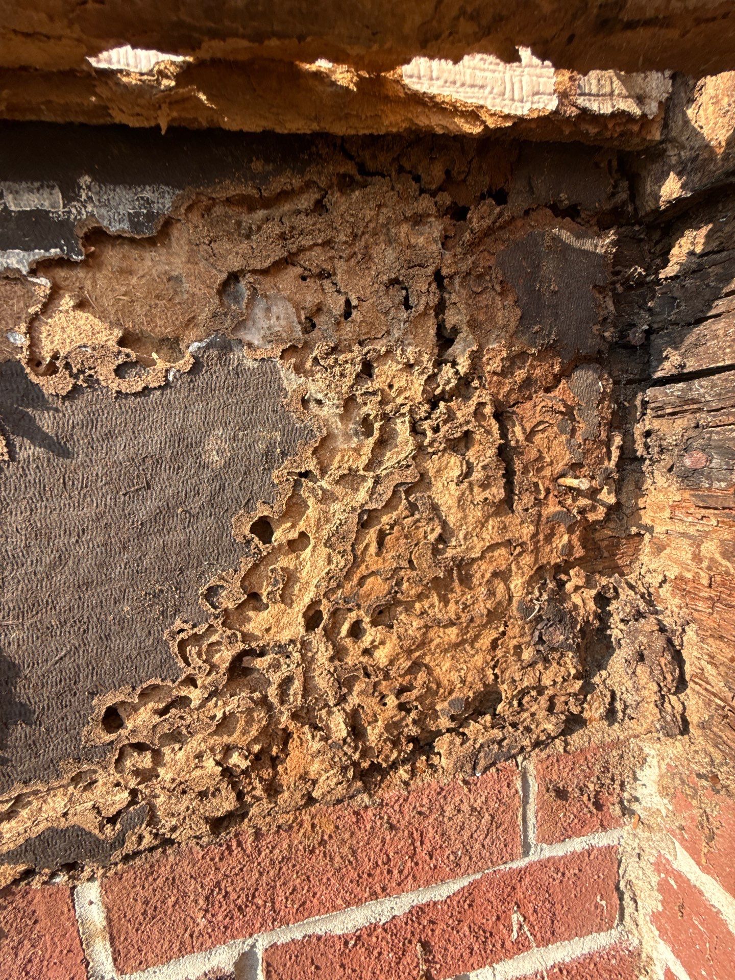 Rot Repair  by Karcher Roofing & Construction