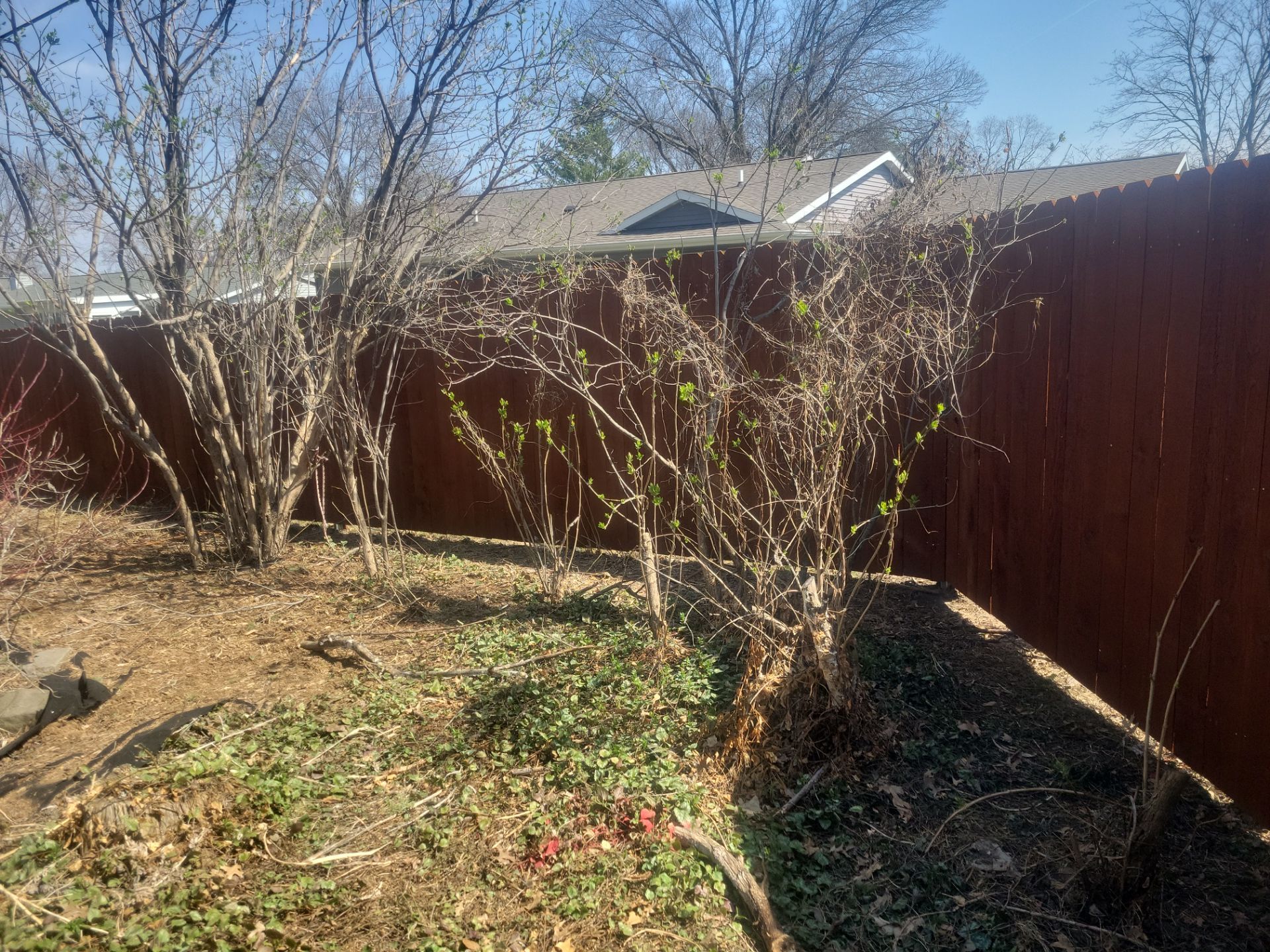Stained Cedar Wood Privacy Fence Installation in Cedar Falls by Perfect Picket Fence and Stain