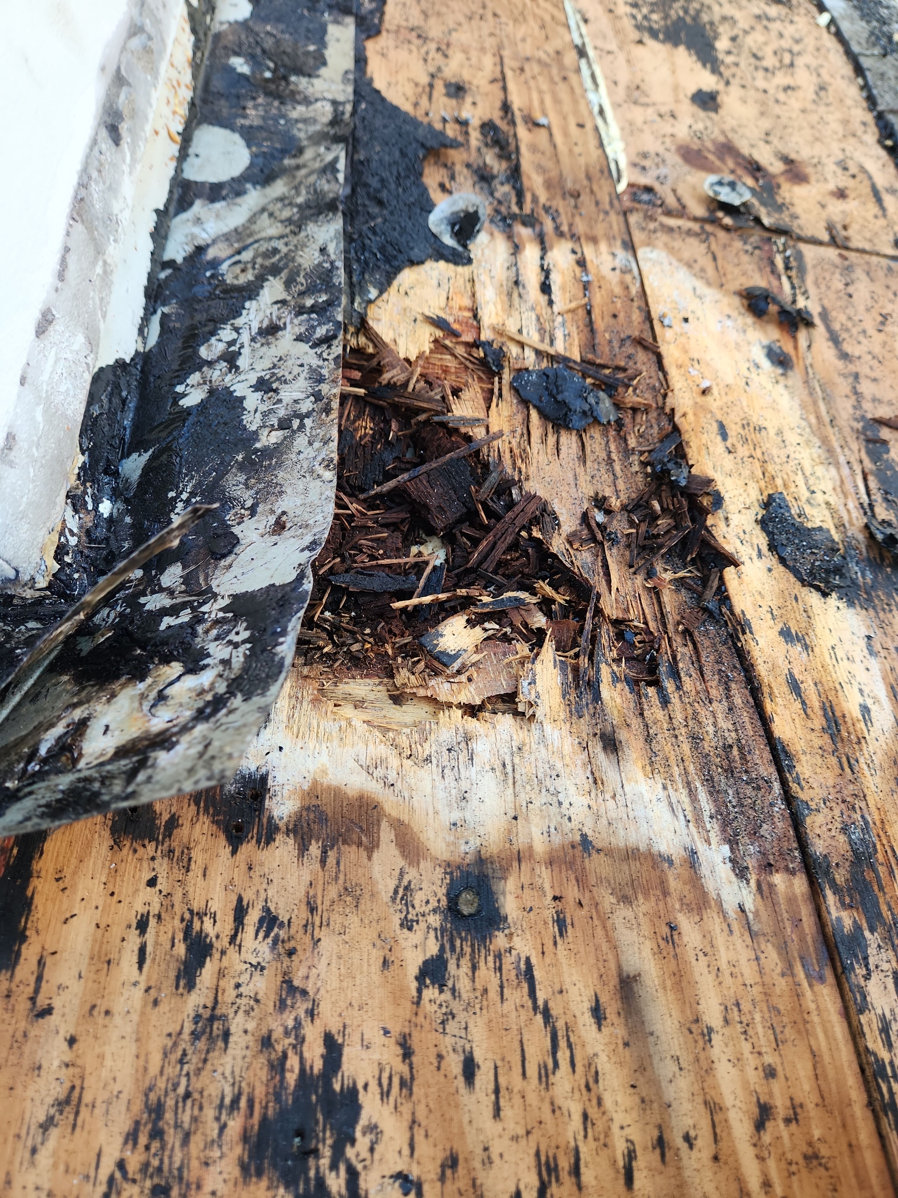 Silicone roof coating and tile tune up in Boca Raton by Aastro Roofing