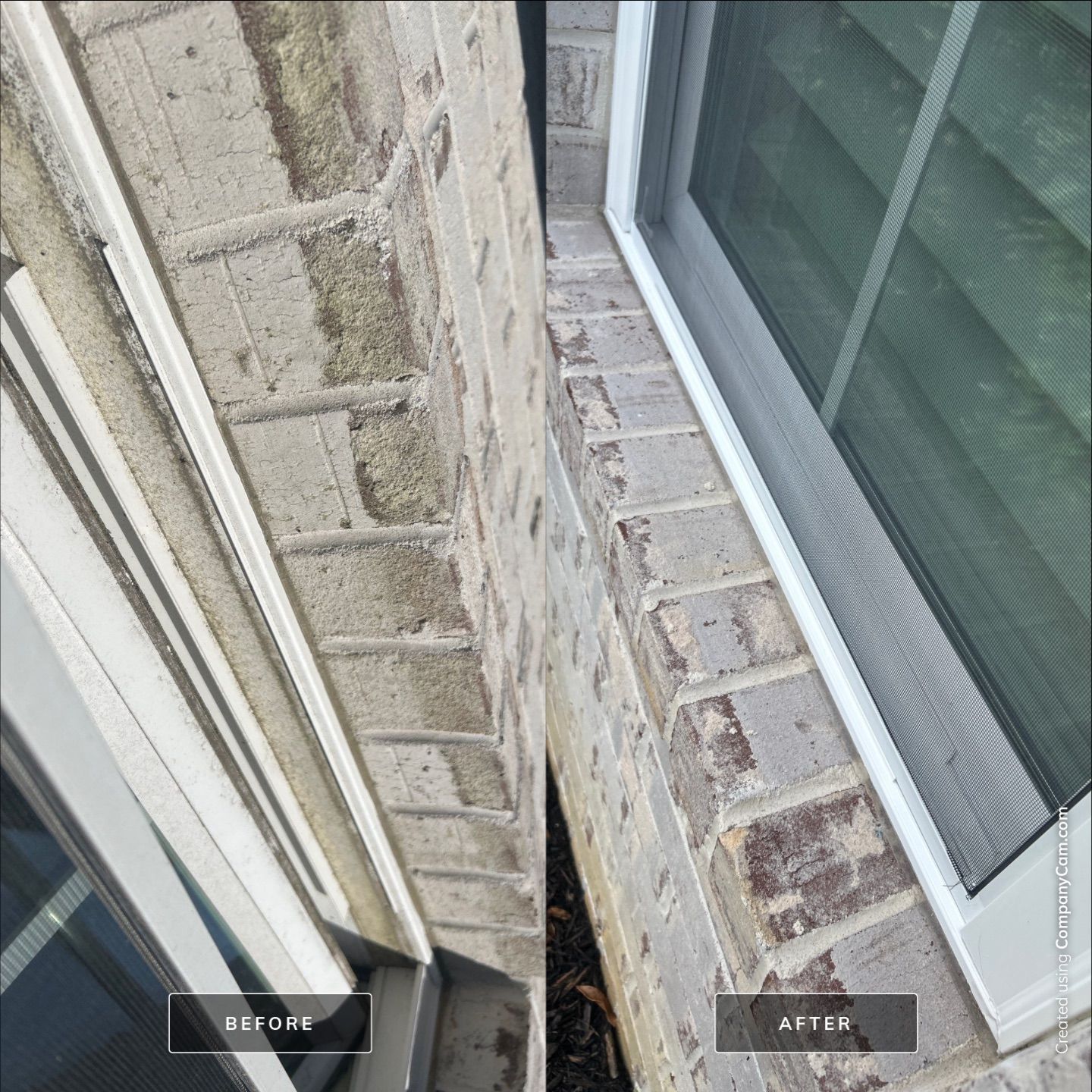 House Washing in Leland by Shark Power Washing