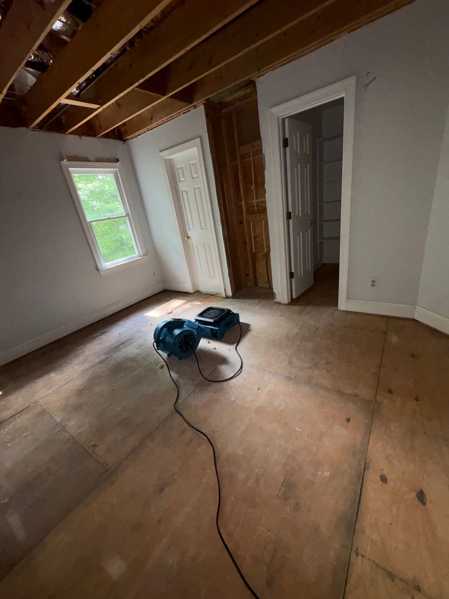 Storm Damage Mitigation and Structural Drying After Tree Impact in Raleigh by One Team Restoration