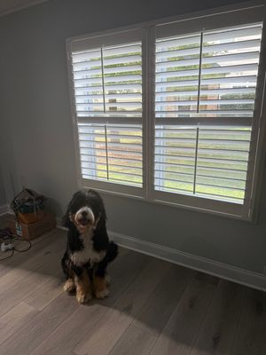 Project in Charlotte, NC