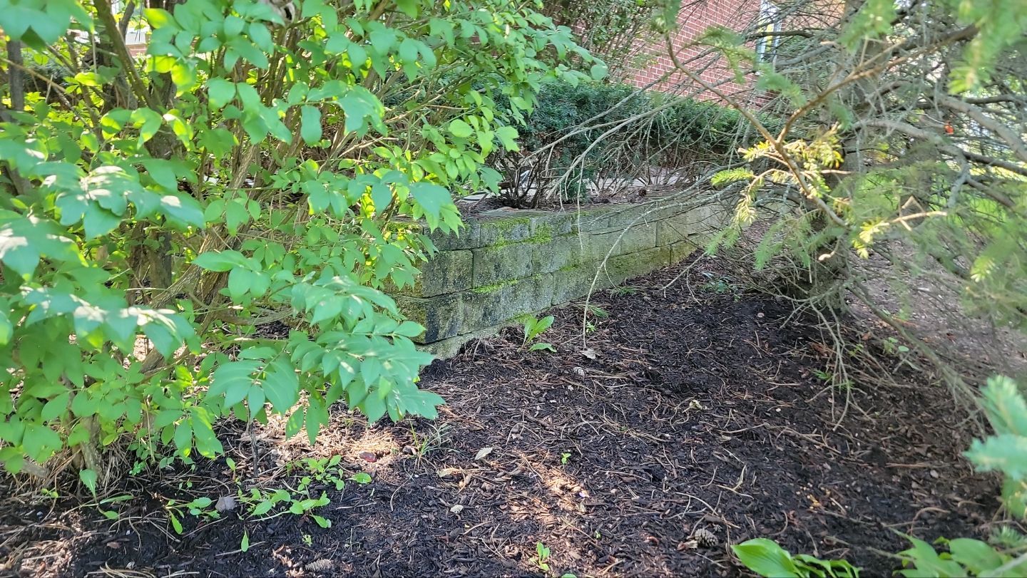 Brick paver repair, clean and seal by Northern Power Washing LLC.