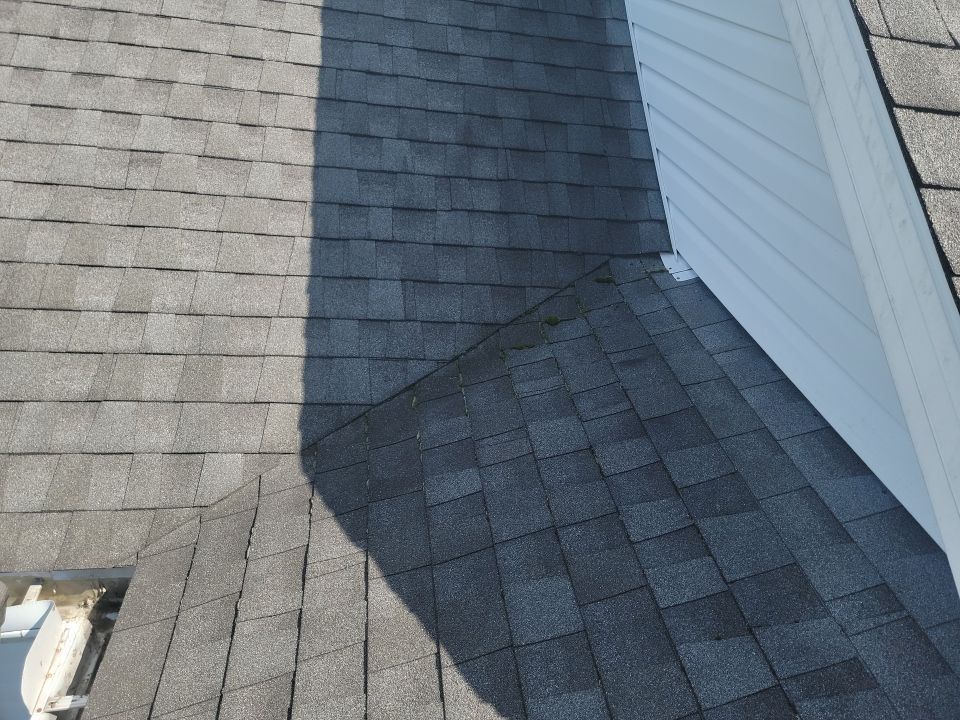 Clifton Cutlip by Silver Leaf Contracting 