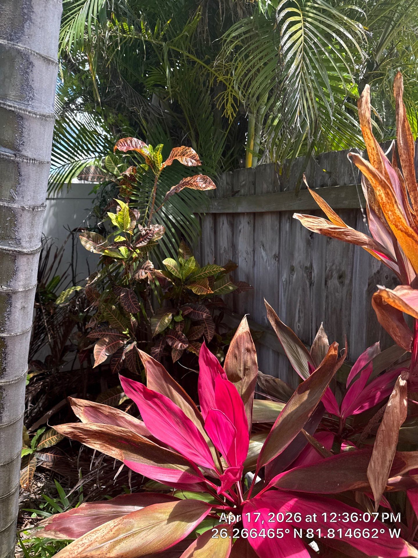 Vinyl Replacement in Naples by True Fence LLC