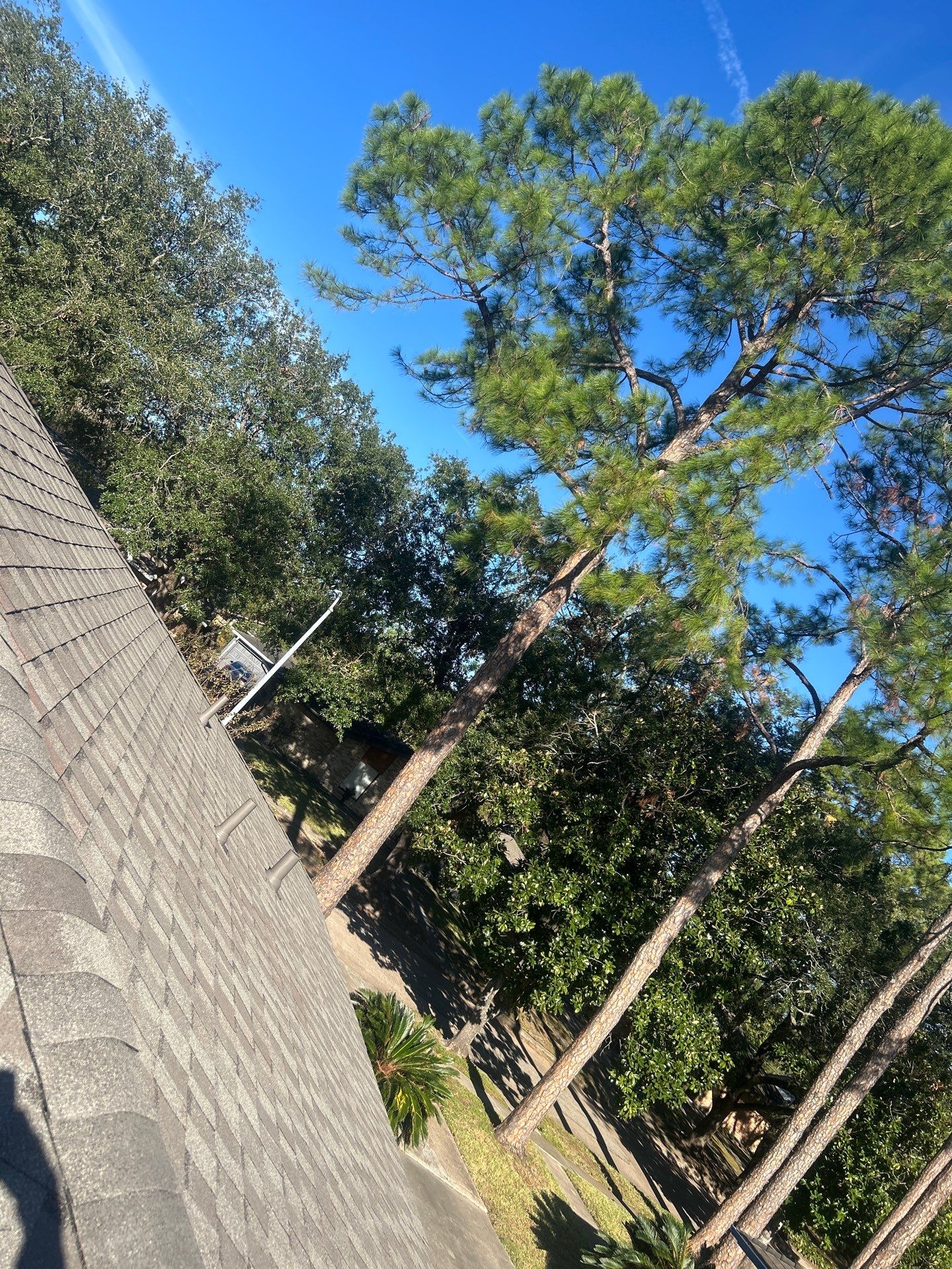 Roof Repair Houston by Roof Repair Company