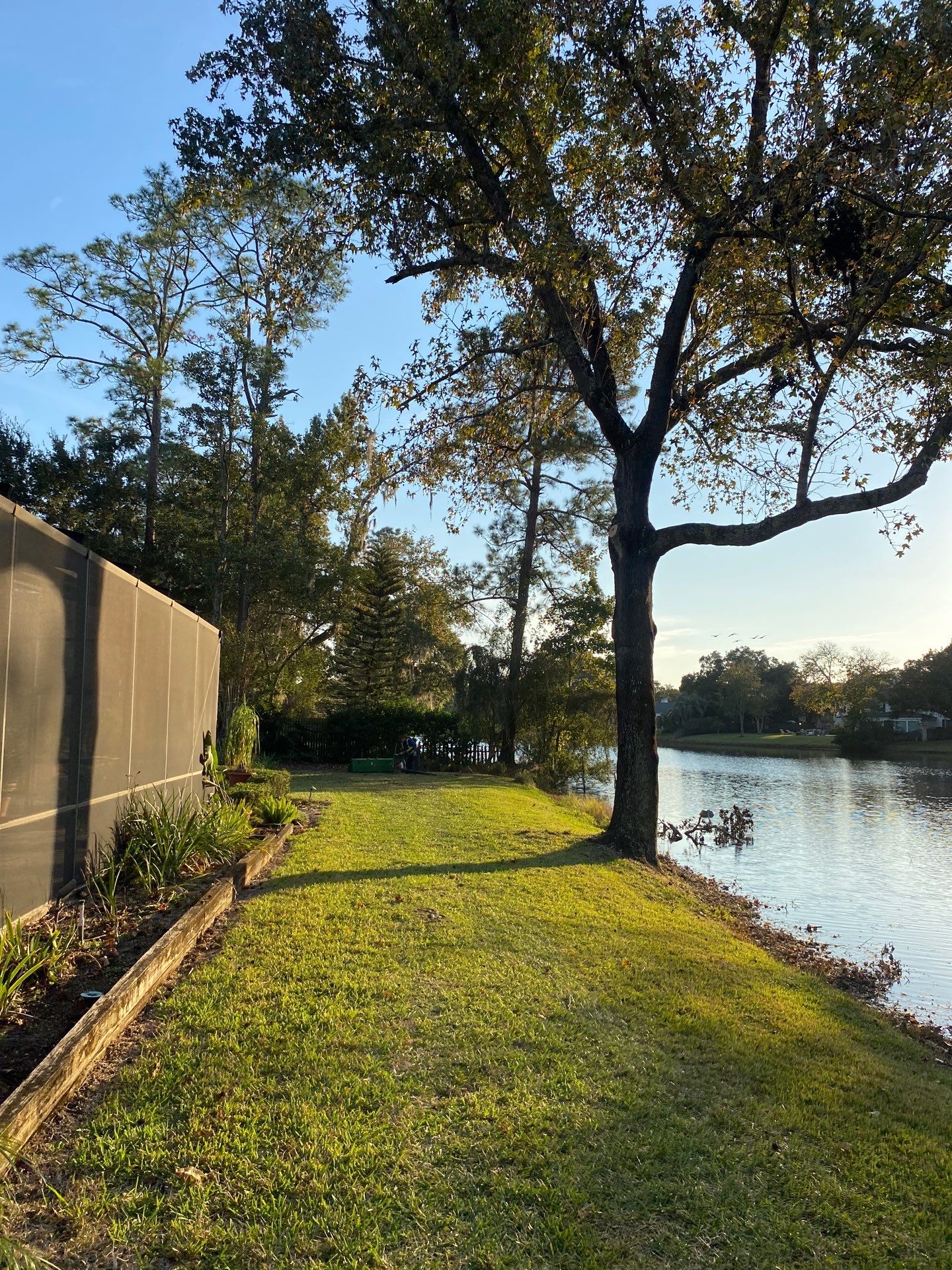 Deerwood Resident | Tree Trimming & Removal by ProGreen Services