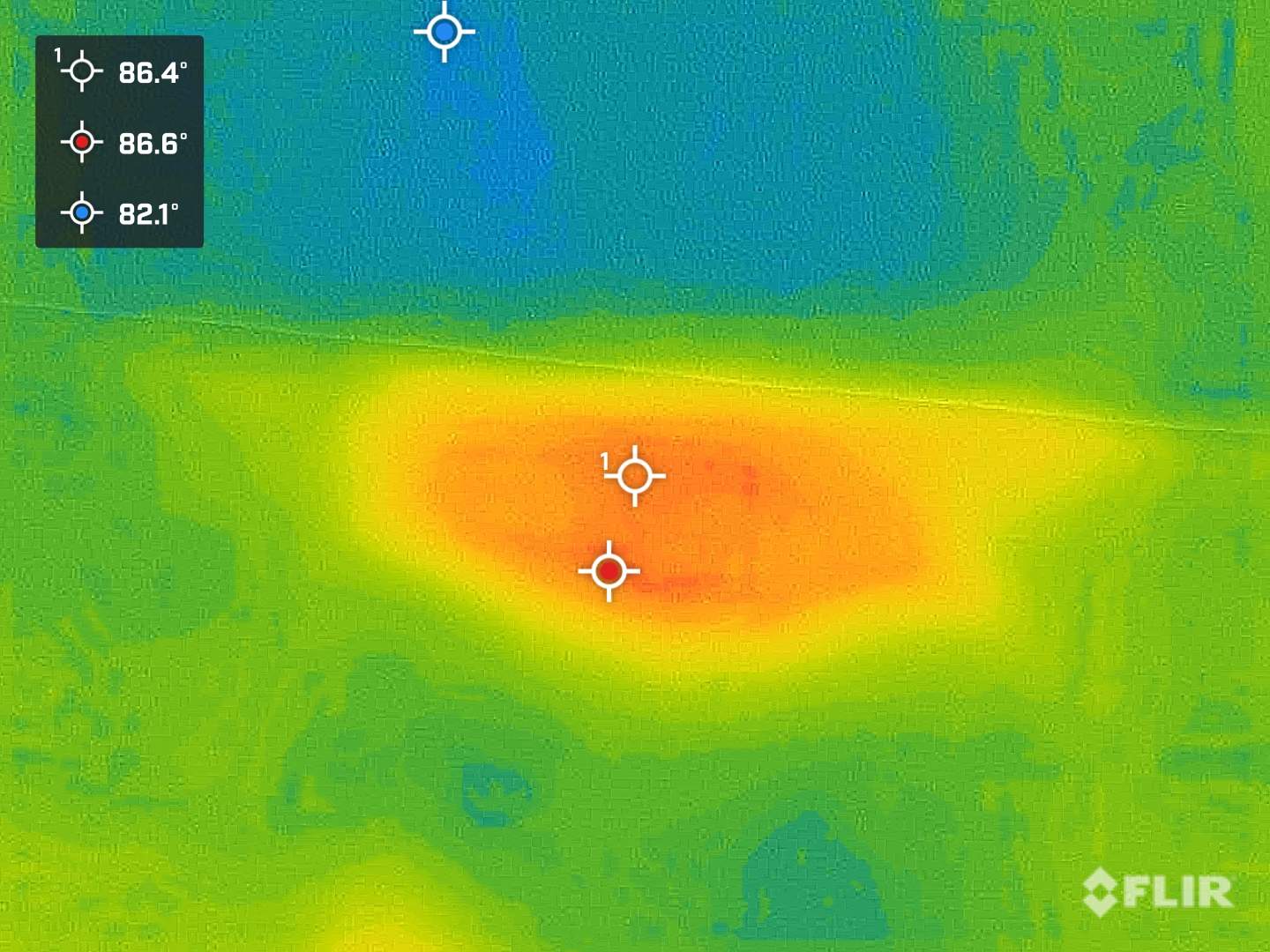 Massive by Rockwall Honey Bee Company