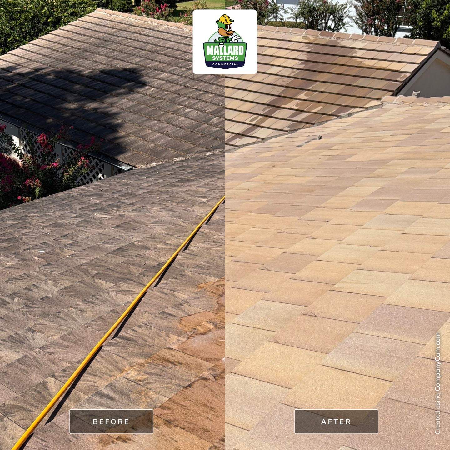 Tile Roof Cleaning in Orlando by Mallard Systems