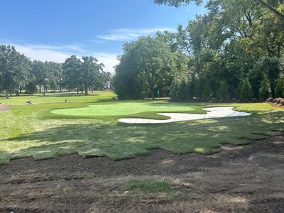2 Large Chi Golf Greens