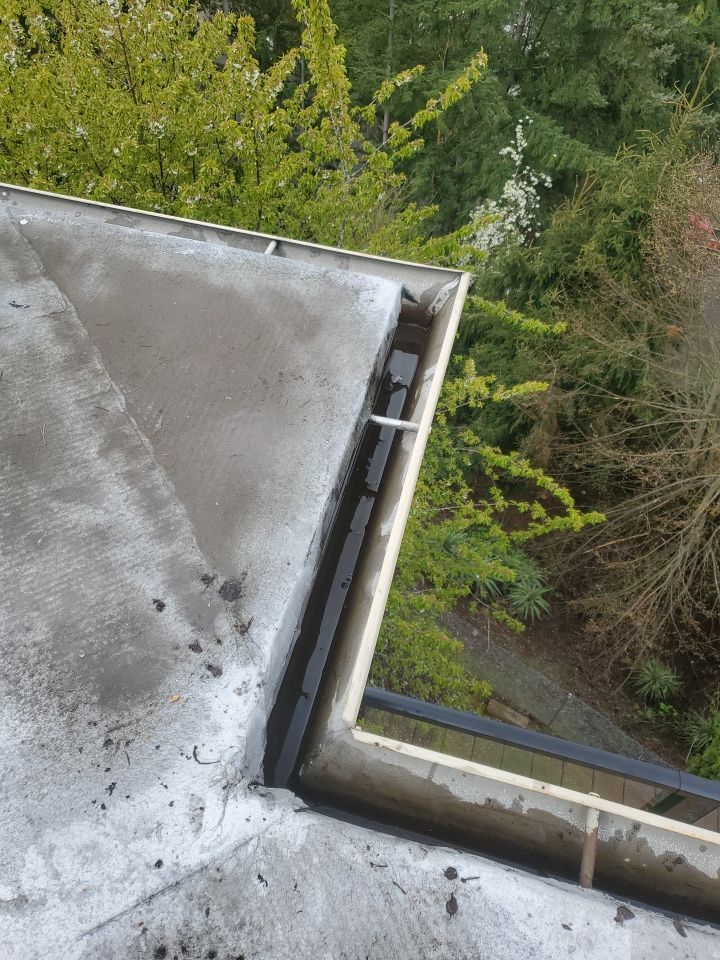 Gutter Cleaning using Moderate Pressure by Willamette Outdoor Wash LLC