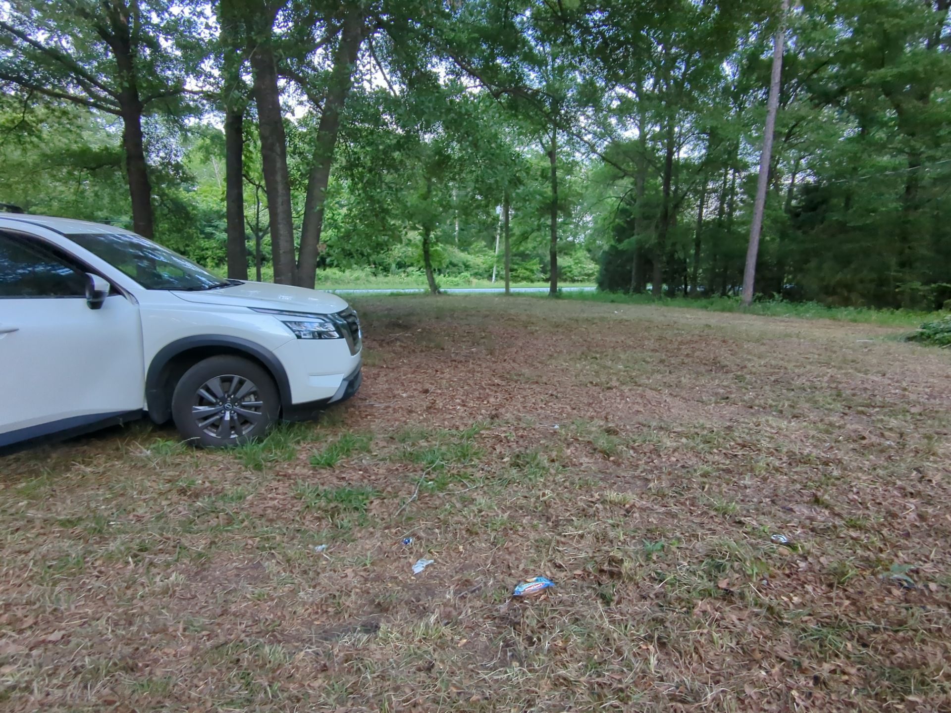 Exterior Clearing - tree trimming - grass cut by Swift Signings and Services LLC