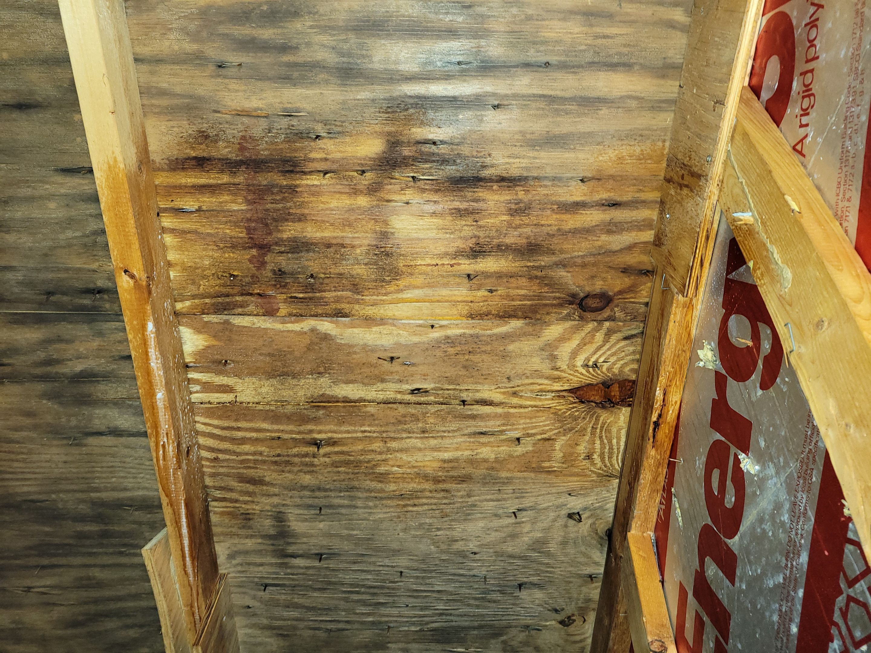 Attic Mold Remediation by Chicagoland Water Medics