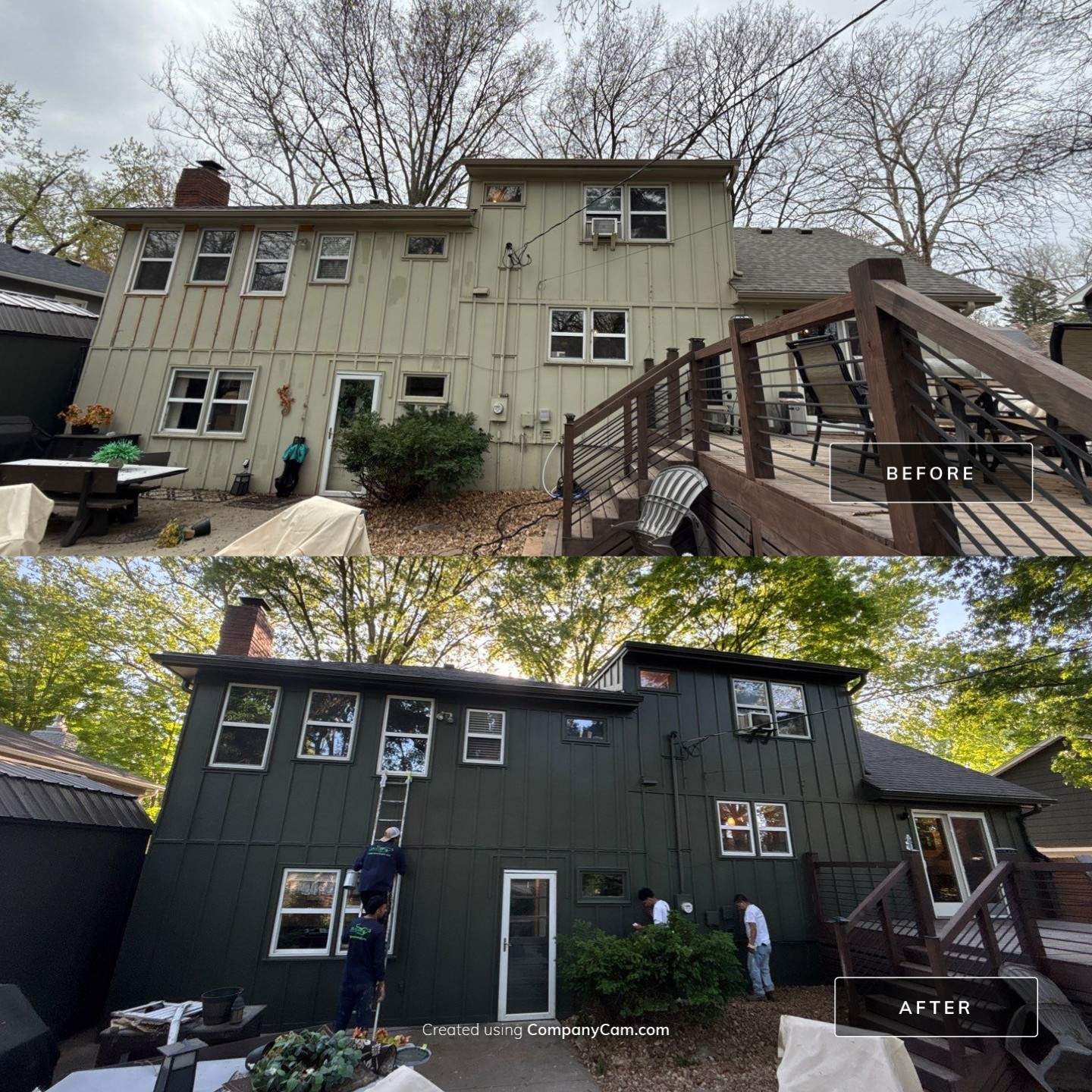 From Brown to Bold – Shade-Grown Refresh! by Cougar Painting