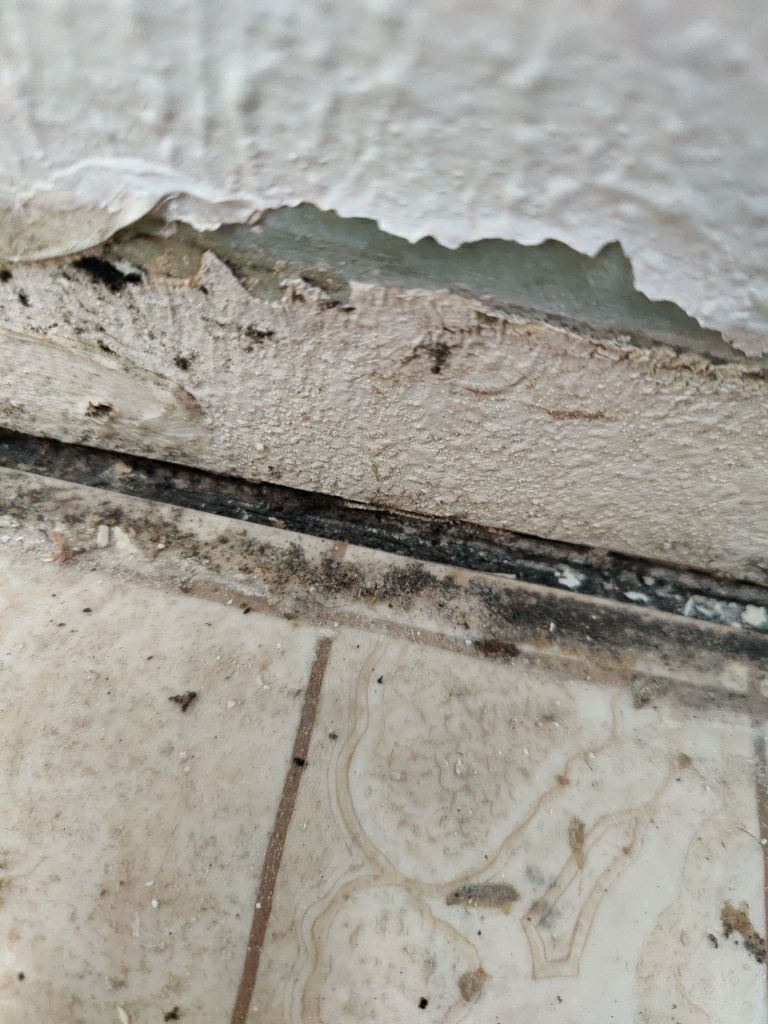 Mold Remediation  by Accountable Home Services