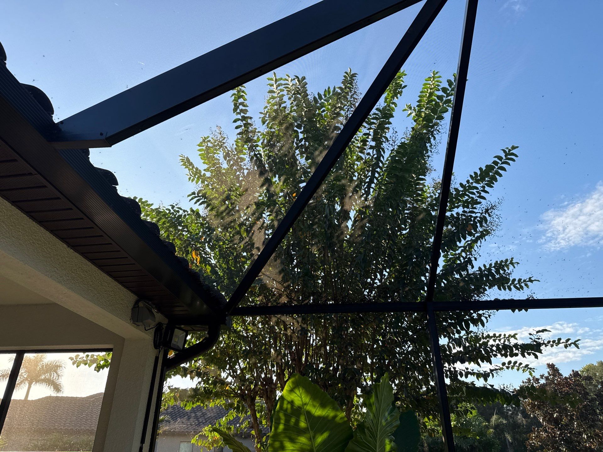 Pool Cage Cleaning | Rye Wilderness, Bradenton FL by Sunshine AquaWash
