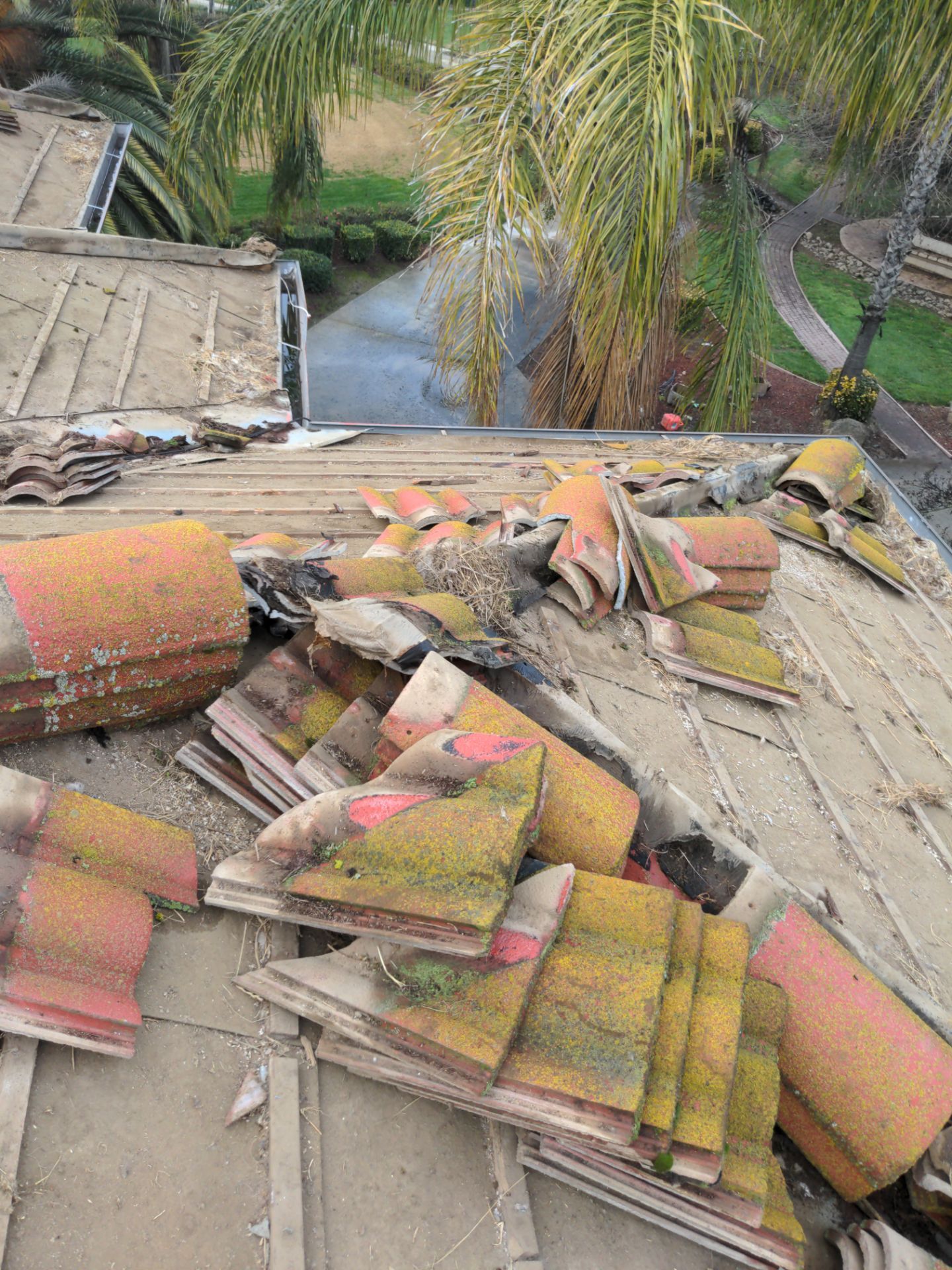 Tile refurbish project using existing tiles and replaced underlayment and battens by Straight Edge Roofing Inc