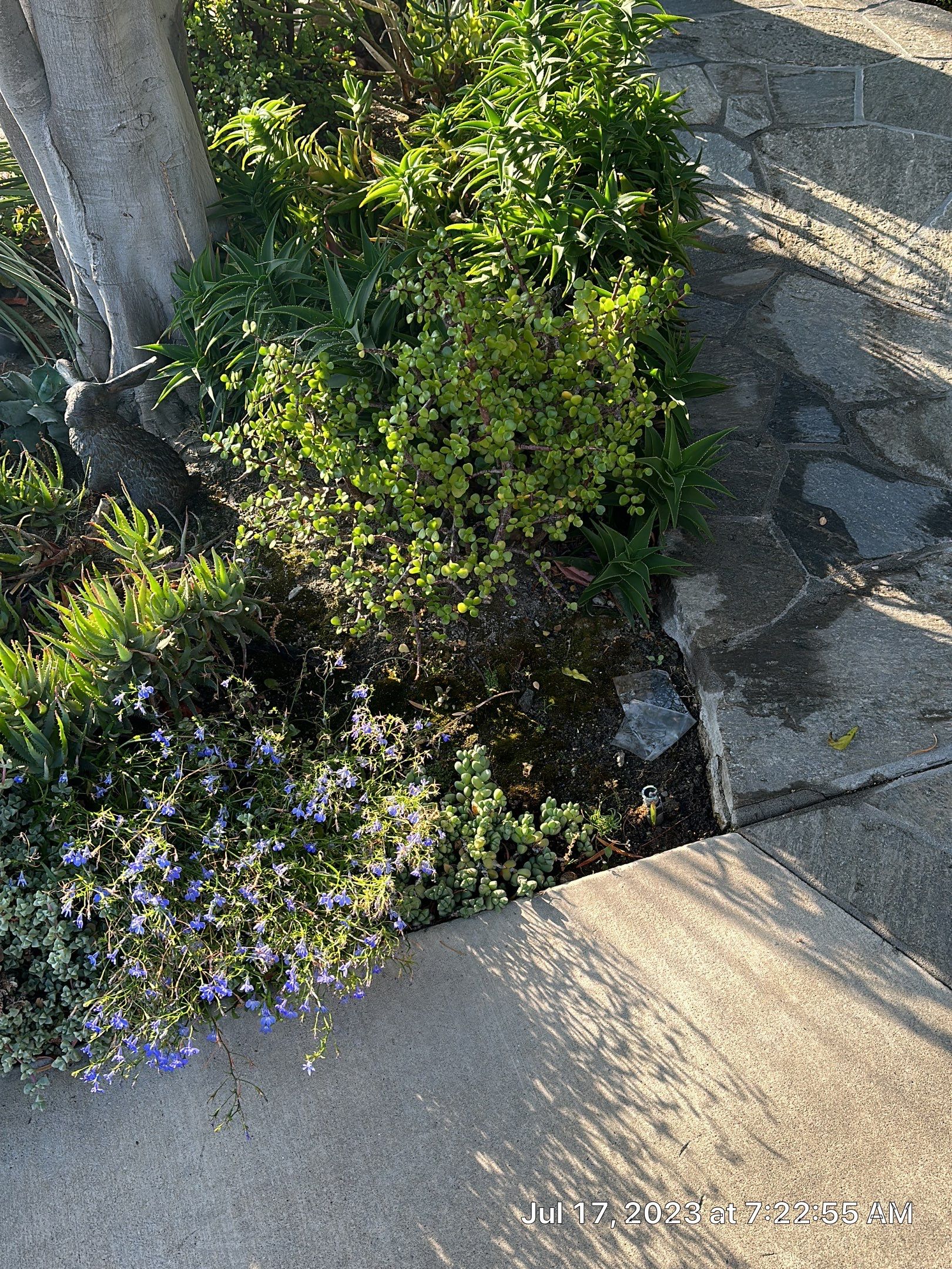 Tile Flooring removal & Installation  by California Flooring Service Inc - OC Flooring Inspections-ICRI - CCSMT-CFIU#439