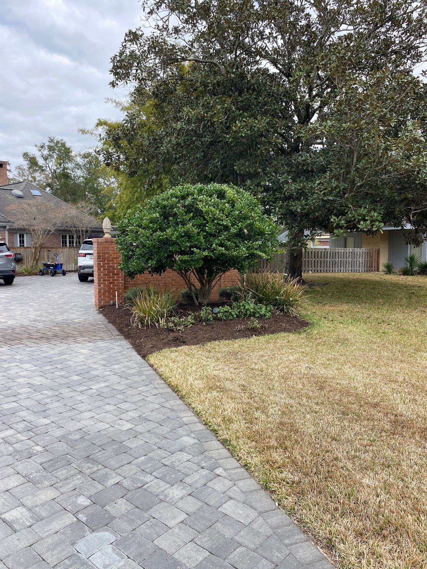 Deerwood Resident | Tree Removal & Mulch Install by ProGreen Services