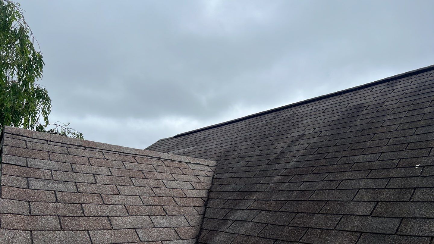 Joe Williamson by Silver Leaf Contracting 
