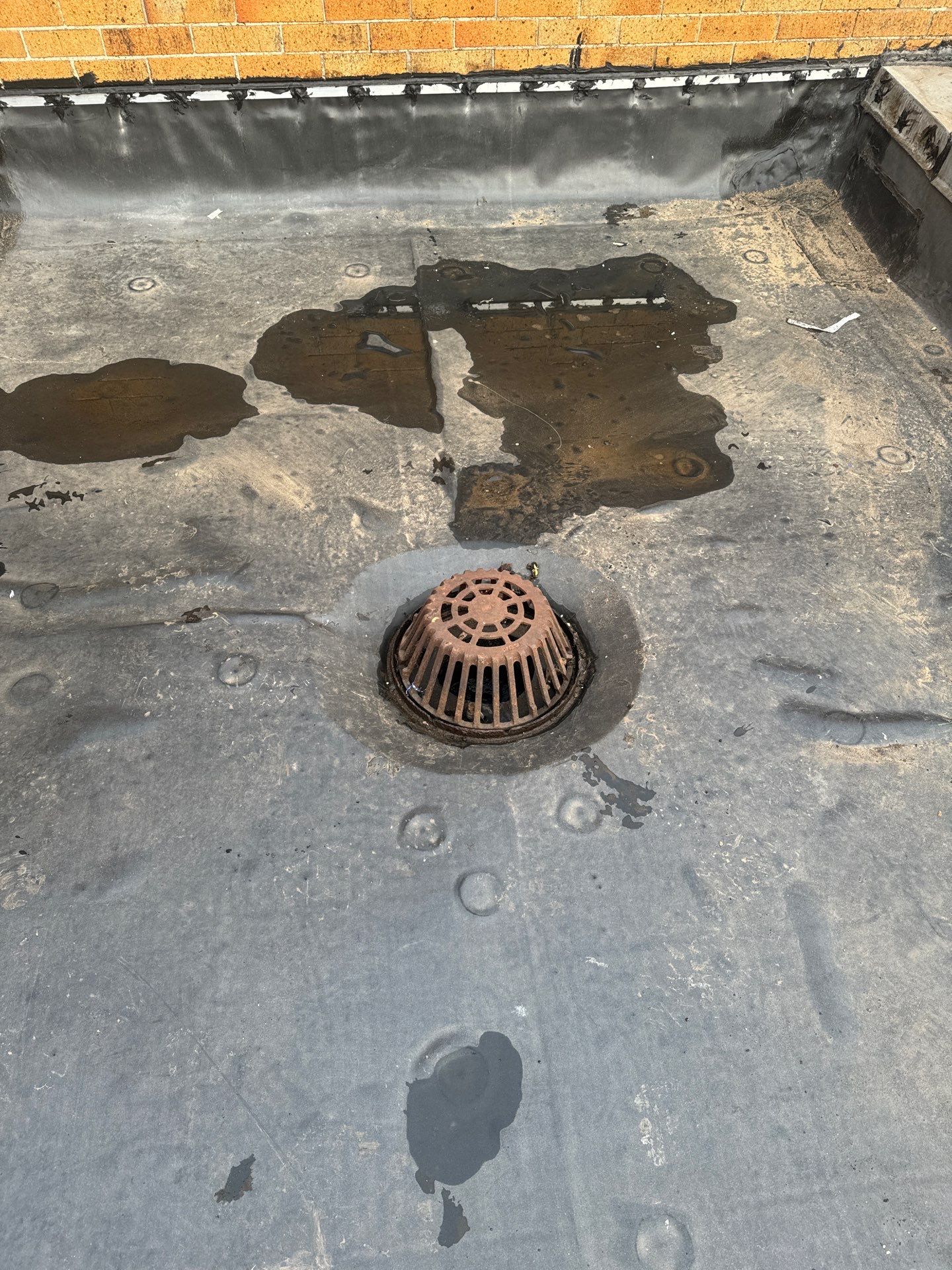 Asbestos Abatement using CertainTeed Grand Manor by Absolute Roofing and Construction