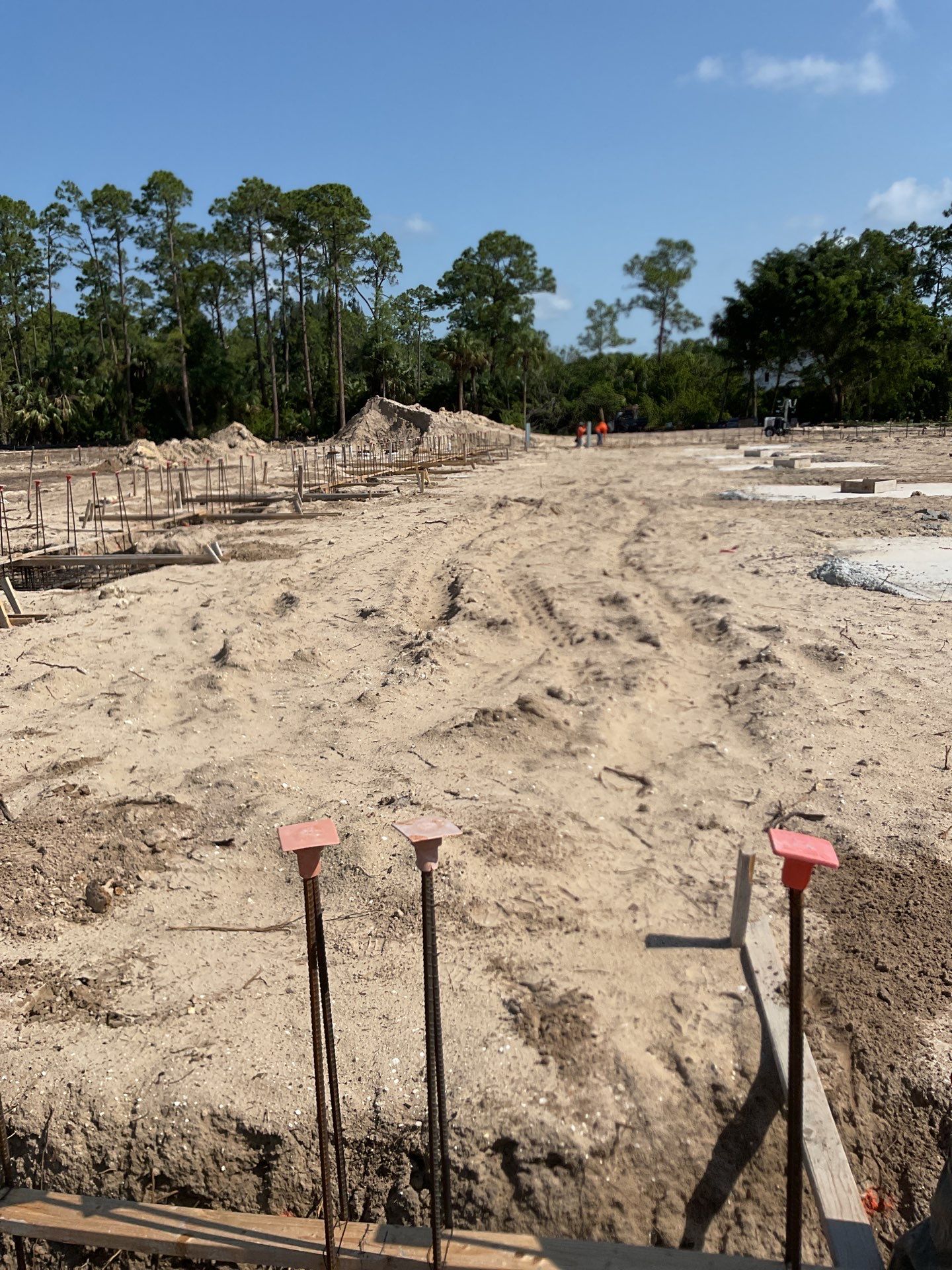 TRACTOR SUPPLY NAPLES by Southern Gulf Construction