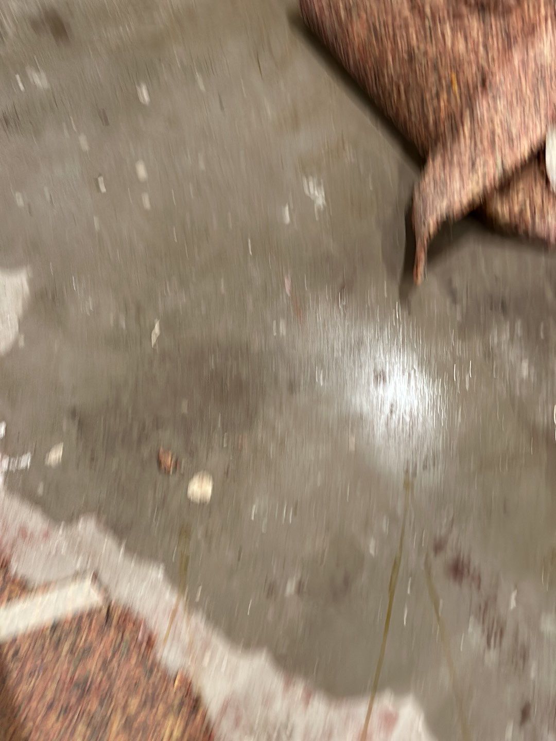 Water Damage by Accountable Home Services