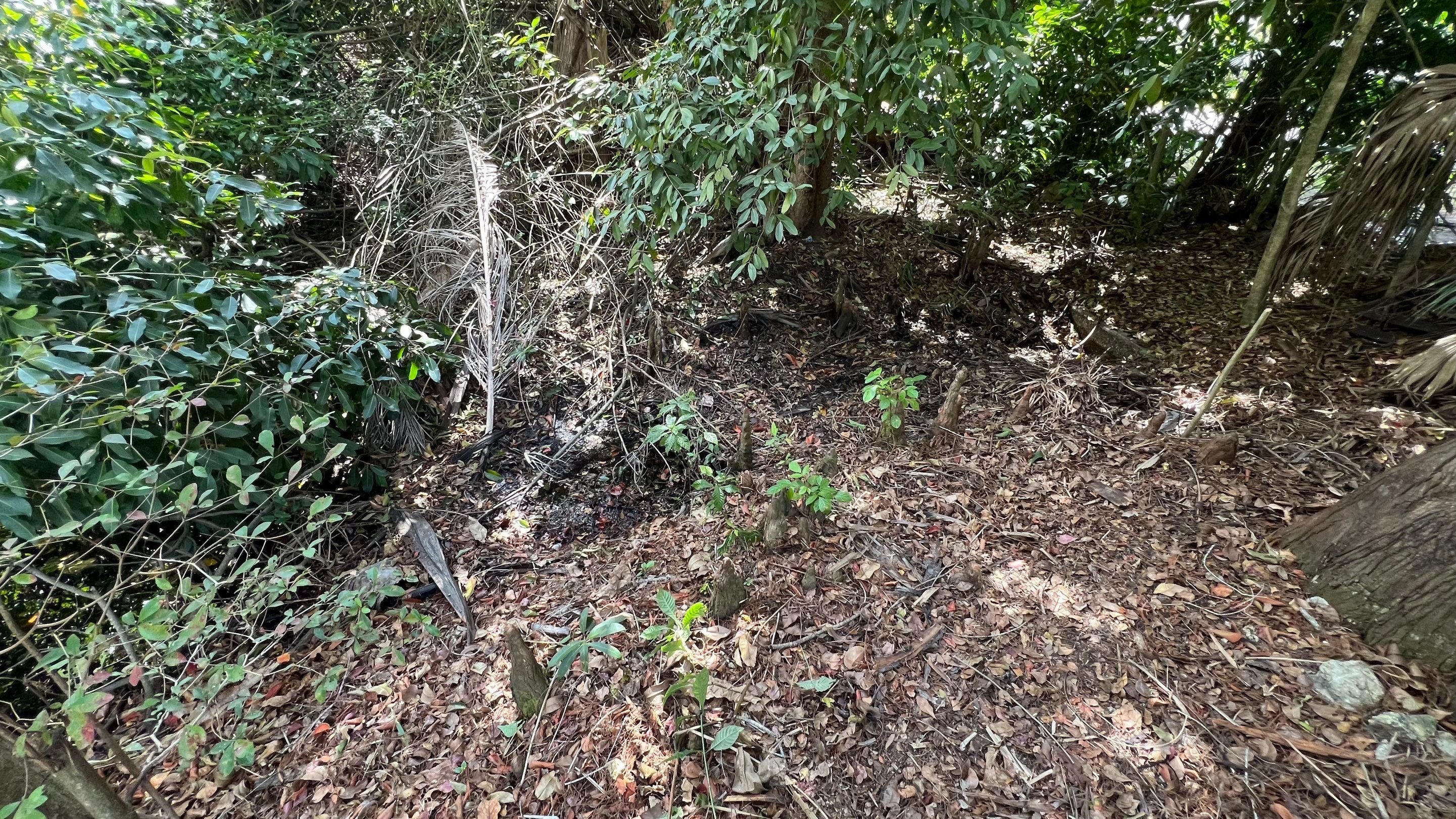 Naples Community Storm Water System Maintenance by APS Power & Water