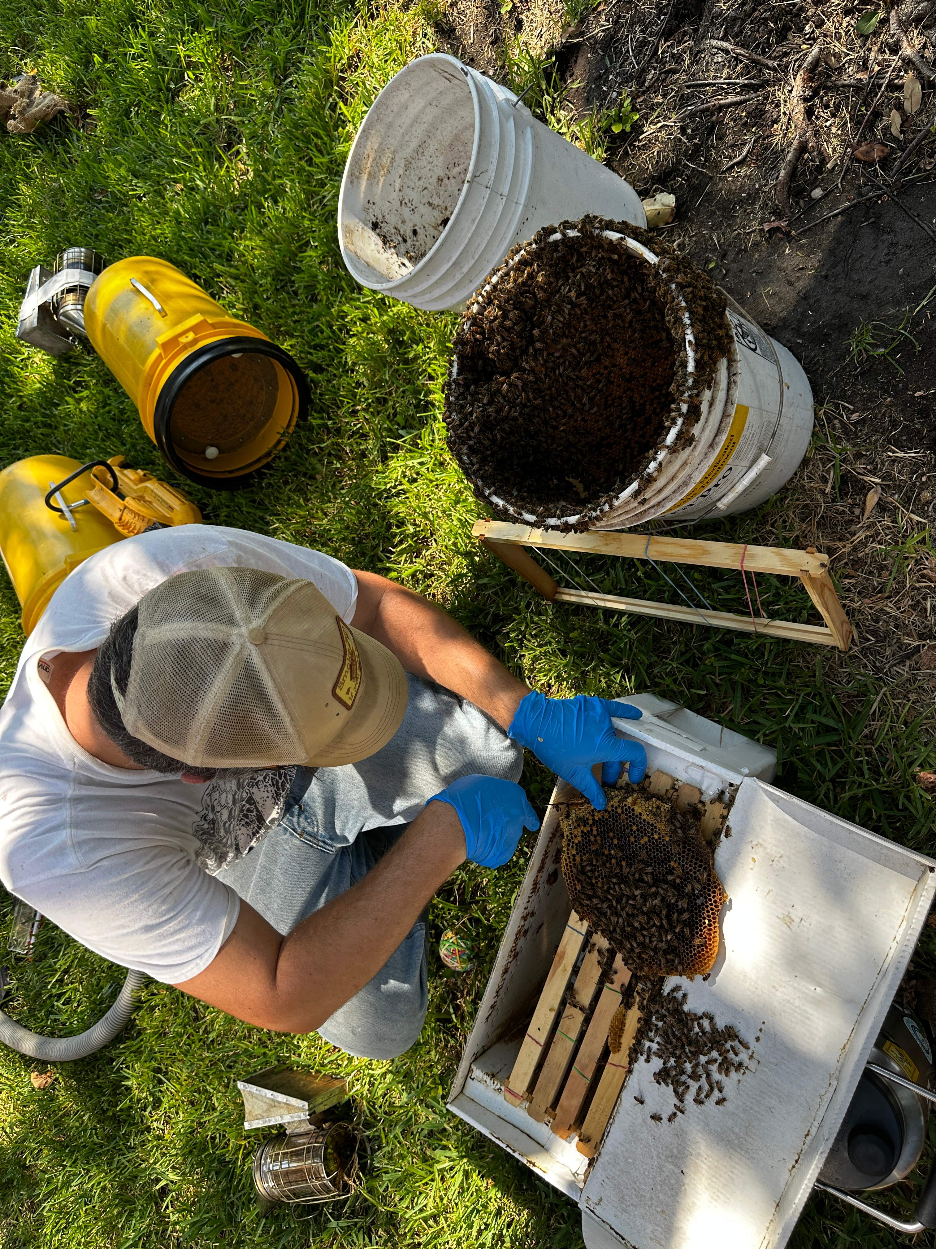 Extra High Up by Rockwall Honey Bee Company