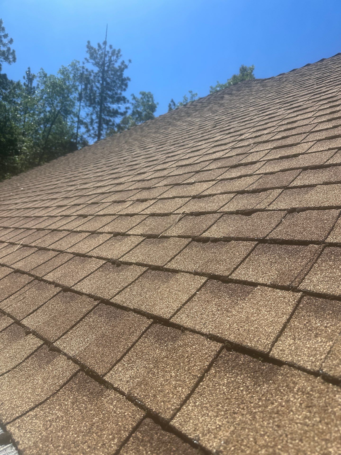 Roof Rejuvenation using Roof Maxx Treatment by Roof Maxx of Folsom