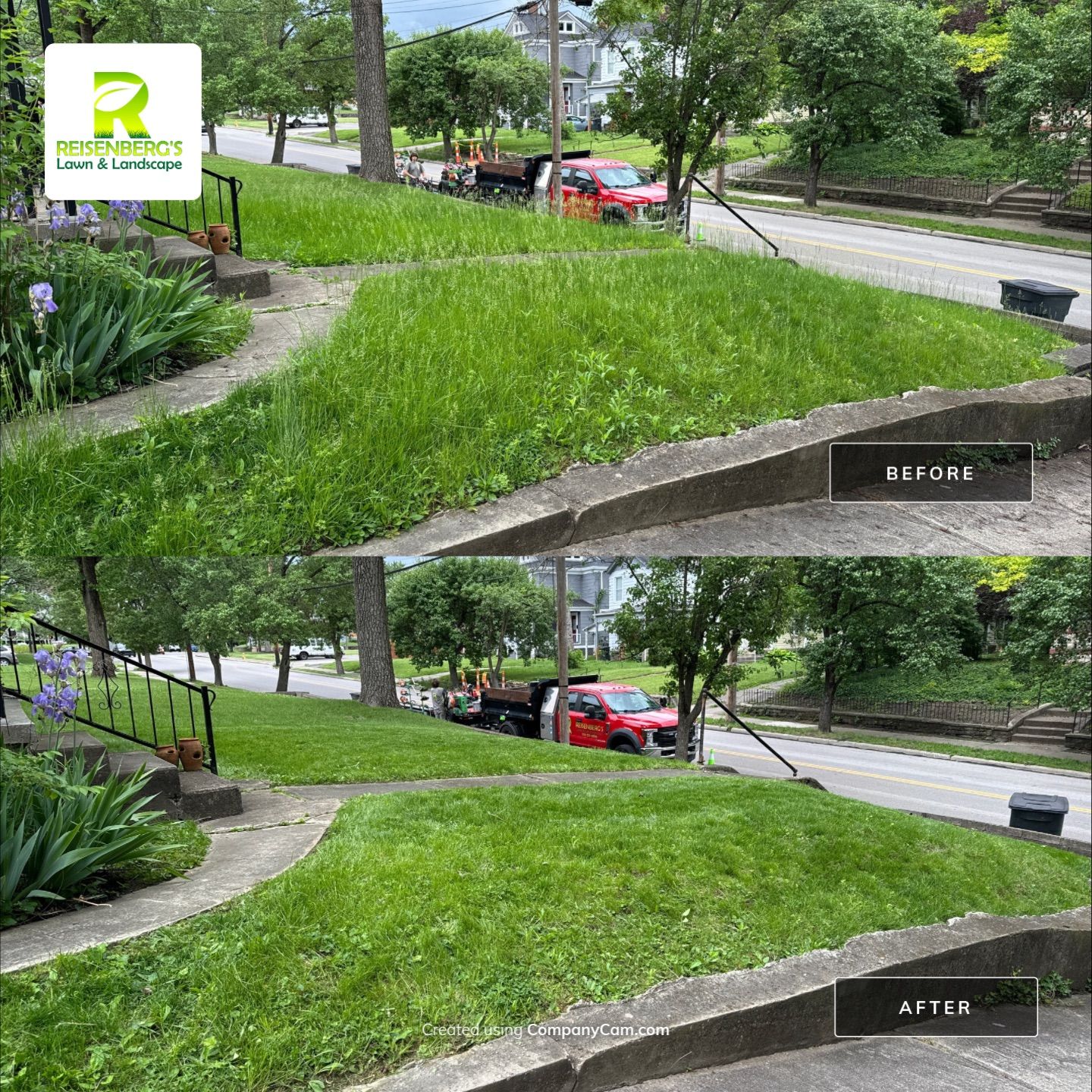 Reclaiming An Overgrown Yard by Reisenberg’s Lawn & Landscape, LLC