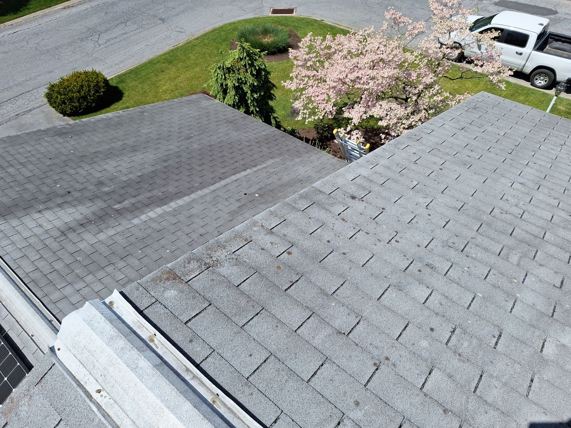 Pewter Gray Shingles by Reimagine Roofing