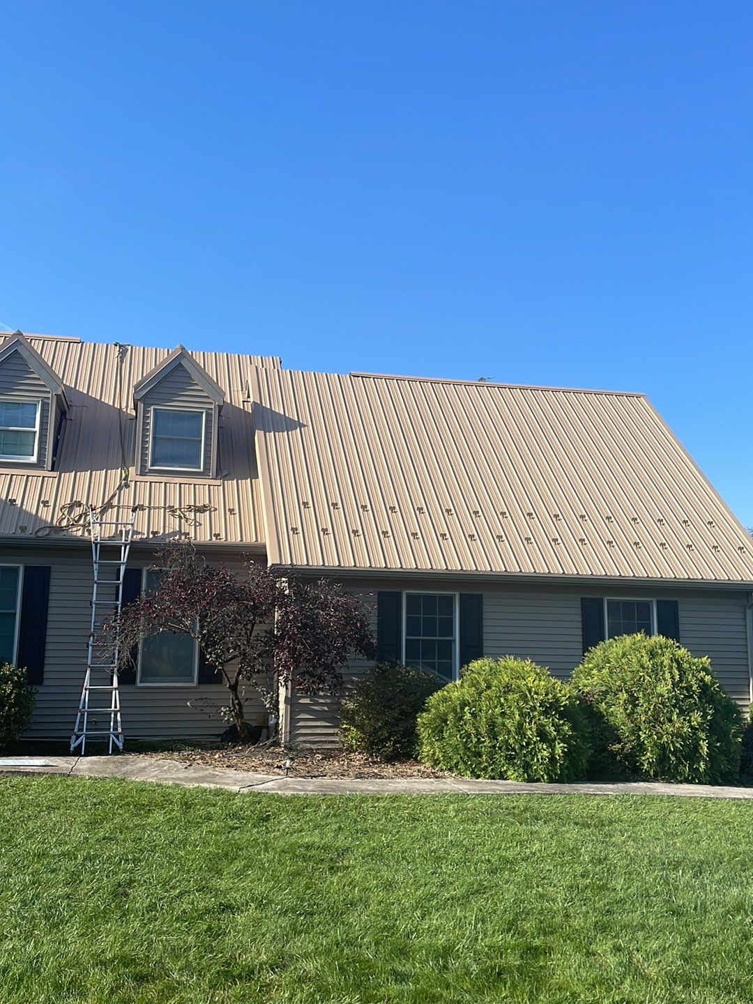 Tan Azm panel by Teflon Roofing