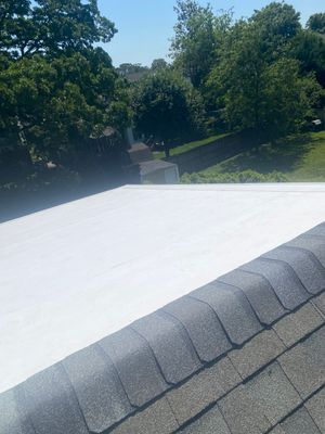 Alexandria: Mule Hide TPO Flat Roof