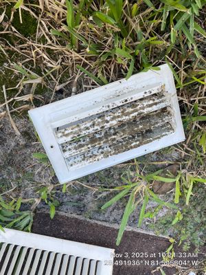 Air Duct Cleaning in Windermere
