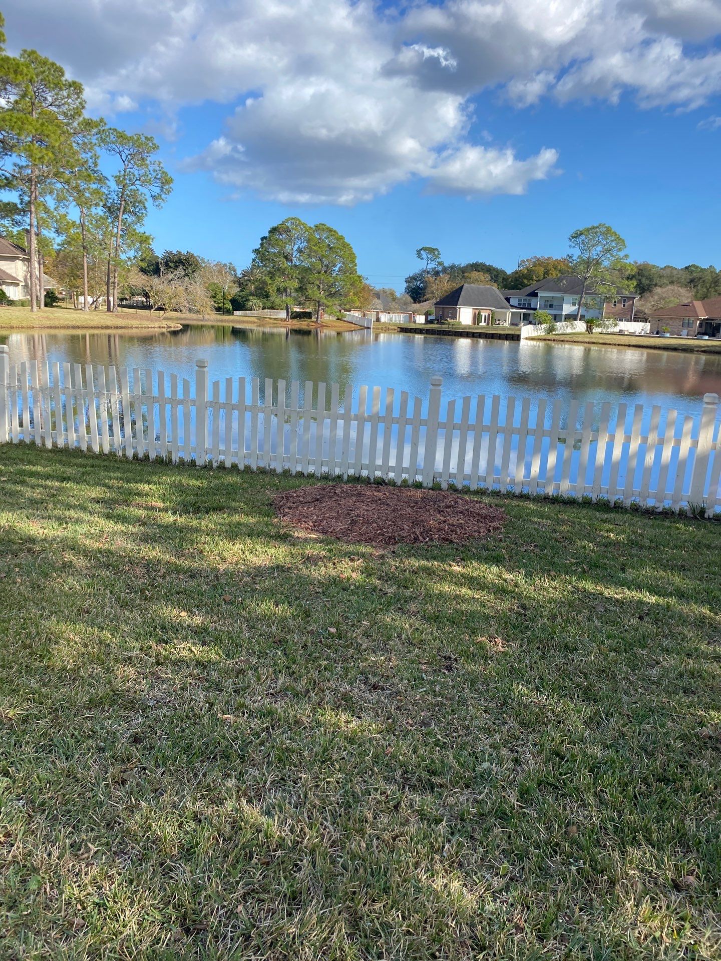 Deerwood Resident | Tree Removal & Palm Trimming by ProGreen Services