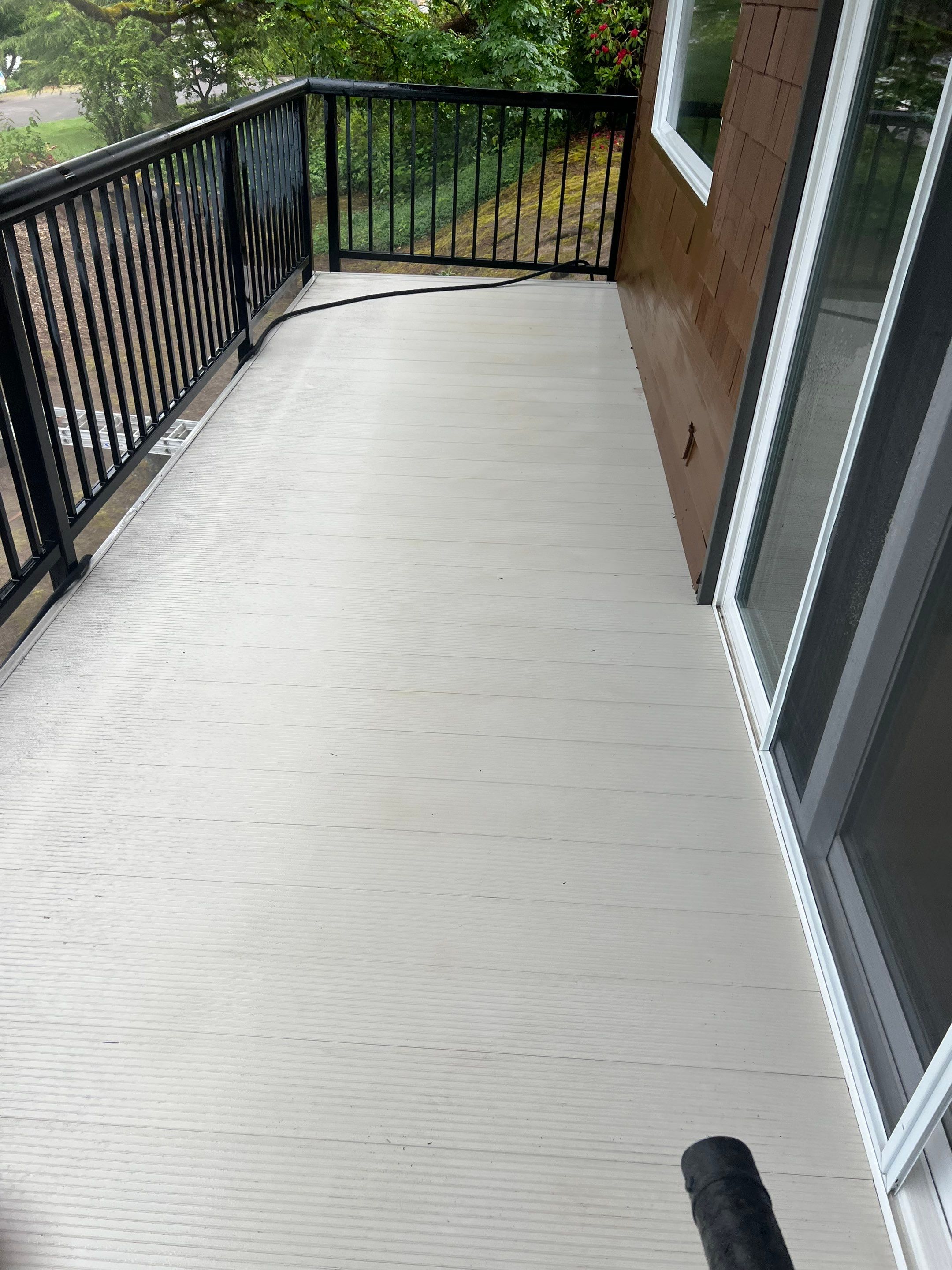 Roof Cleaning in Portland by Prodigy Roof Solutions